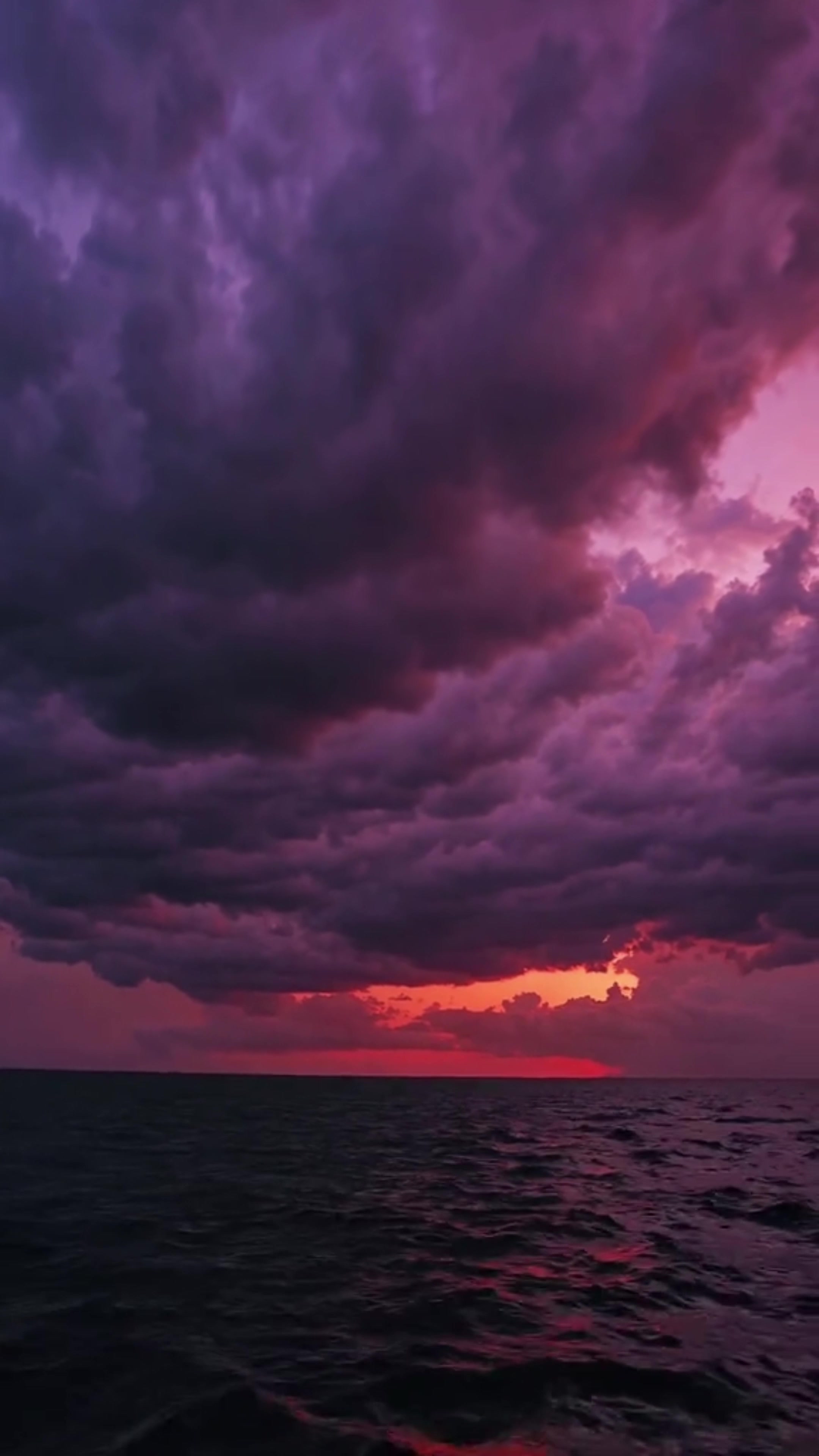 @𝒜𝓈𝒽 𝒜𝓁𝓁𝓊𝓇𝑒