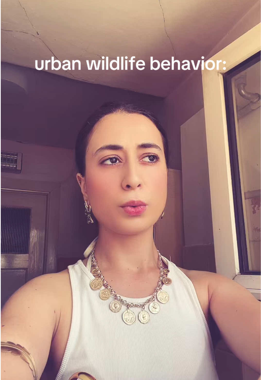@sausi