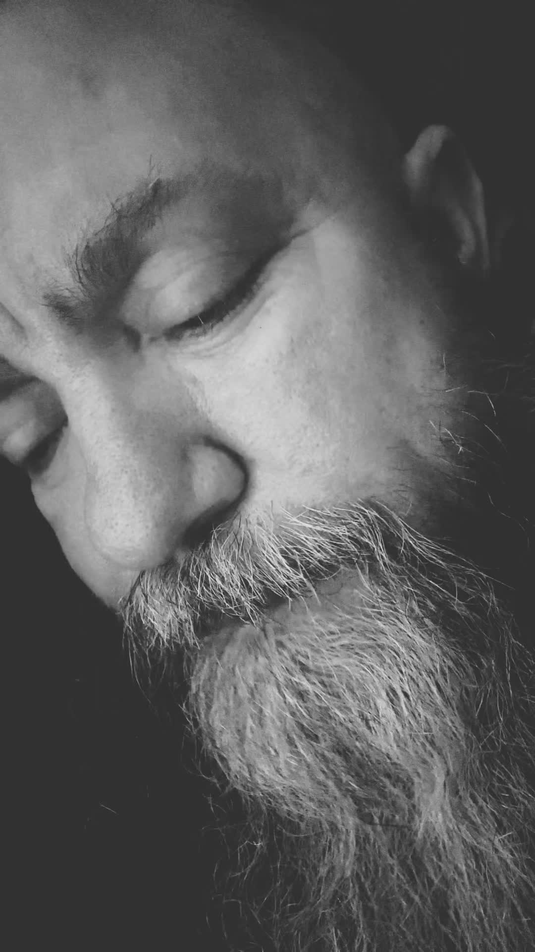 @beardedmini
