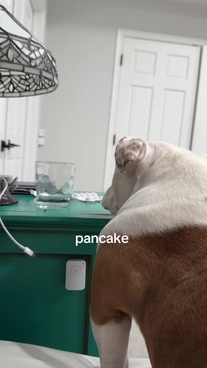 @Pancake 🥞