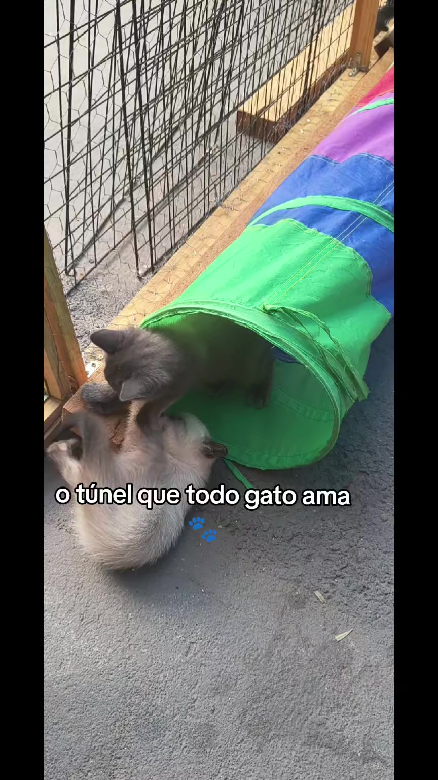 @taty_2803