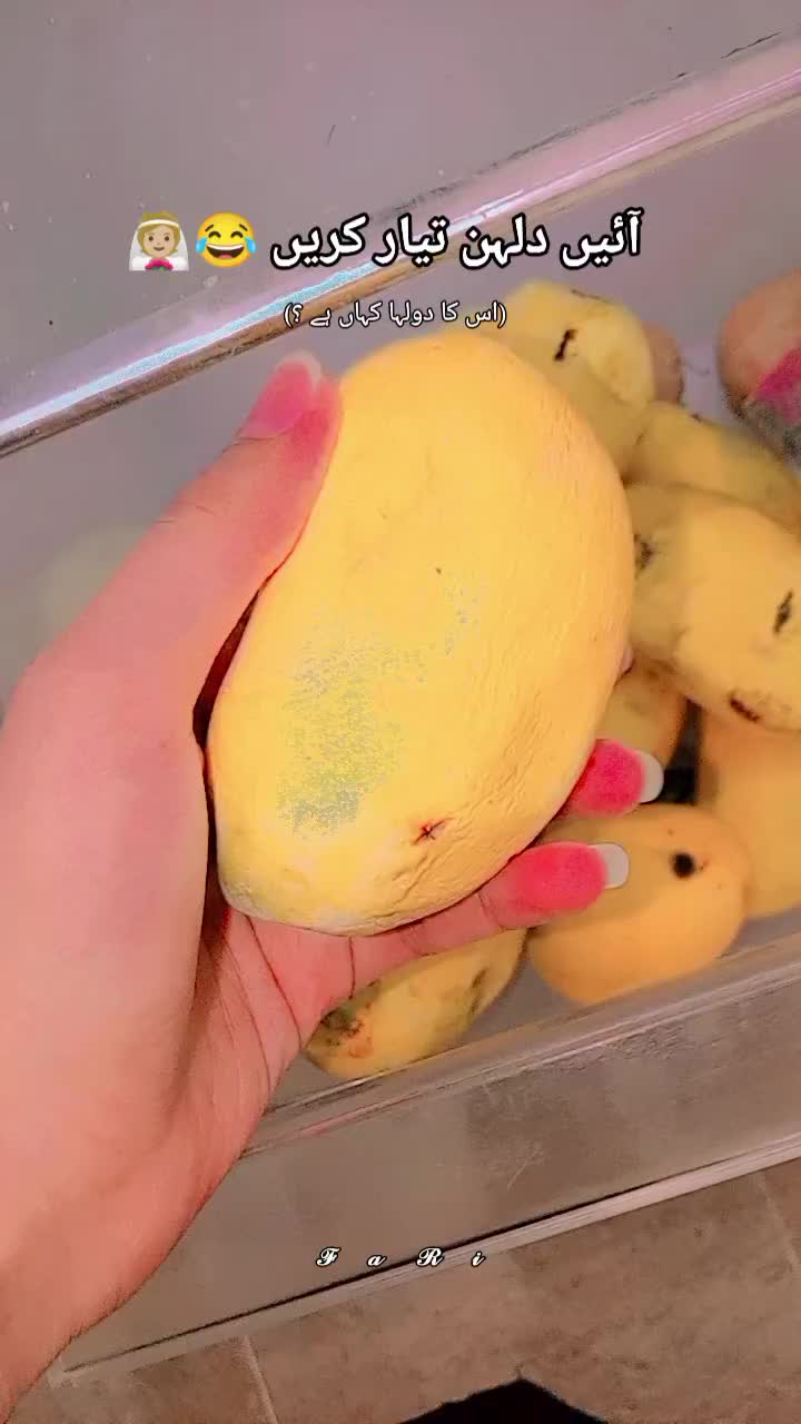 @𓆩⃝𝑭𝑨𝑹𝑰𓆪᭄⏤͟͟͞͞🍷🧸💌