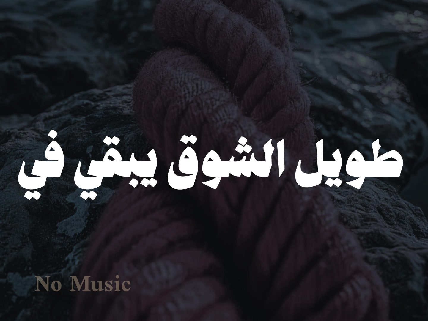 @No Music