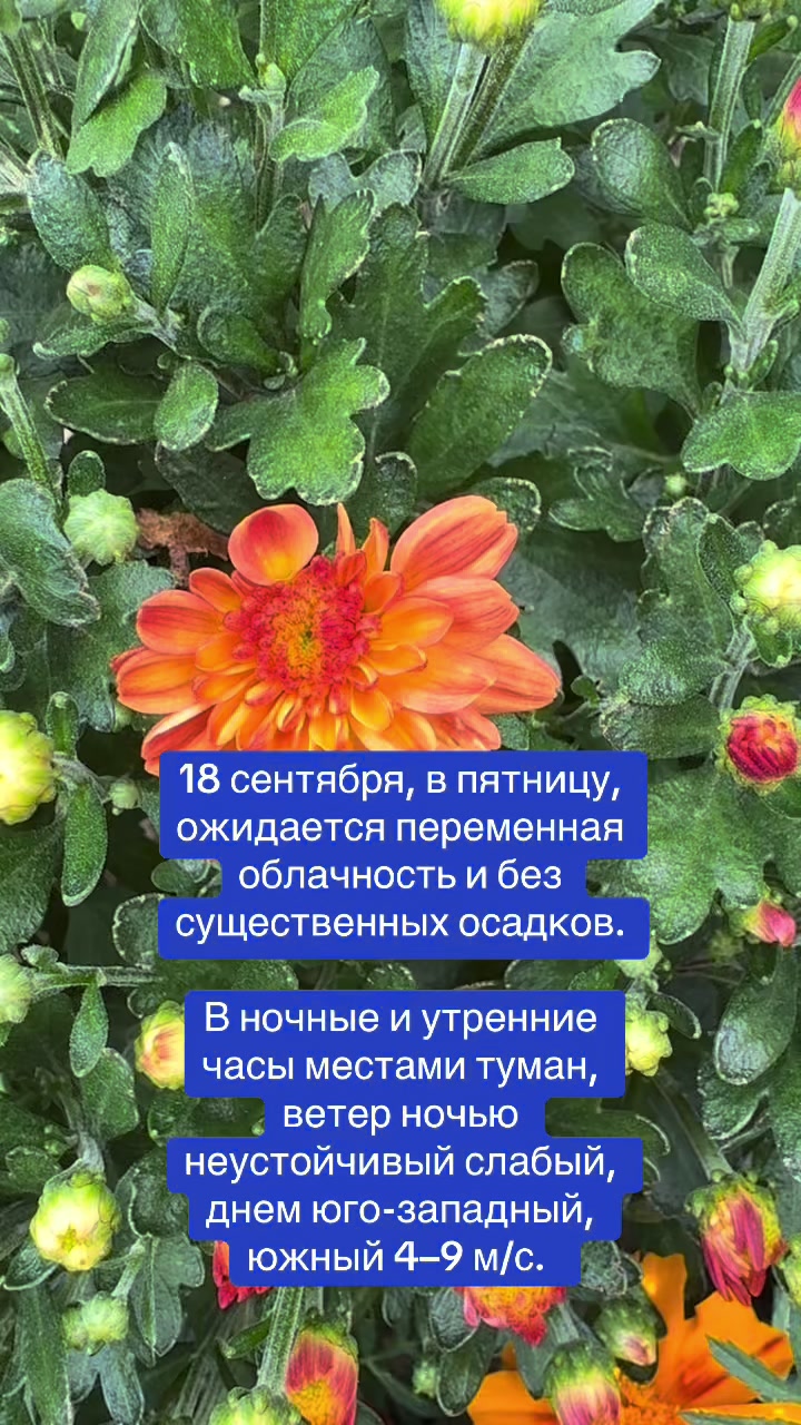 @Наш край