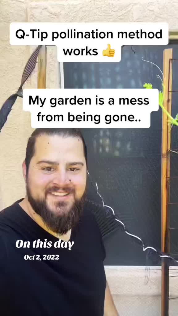 @BurchBearHolisticCare