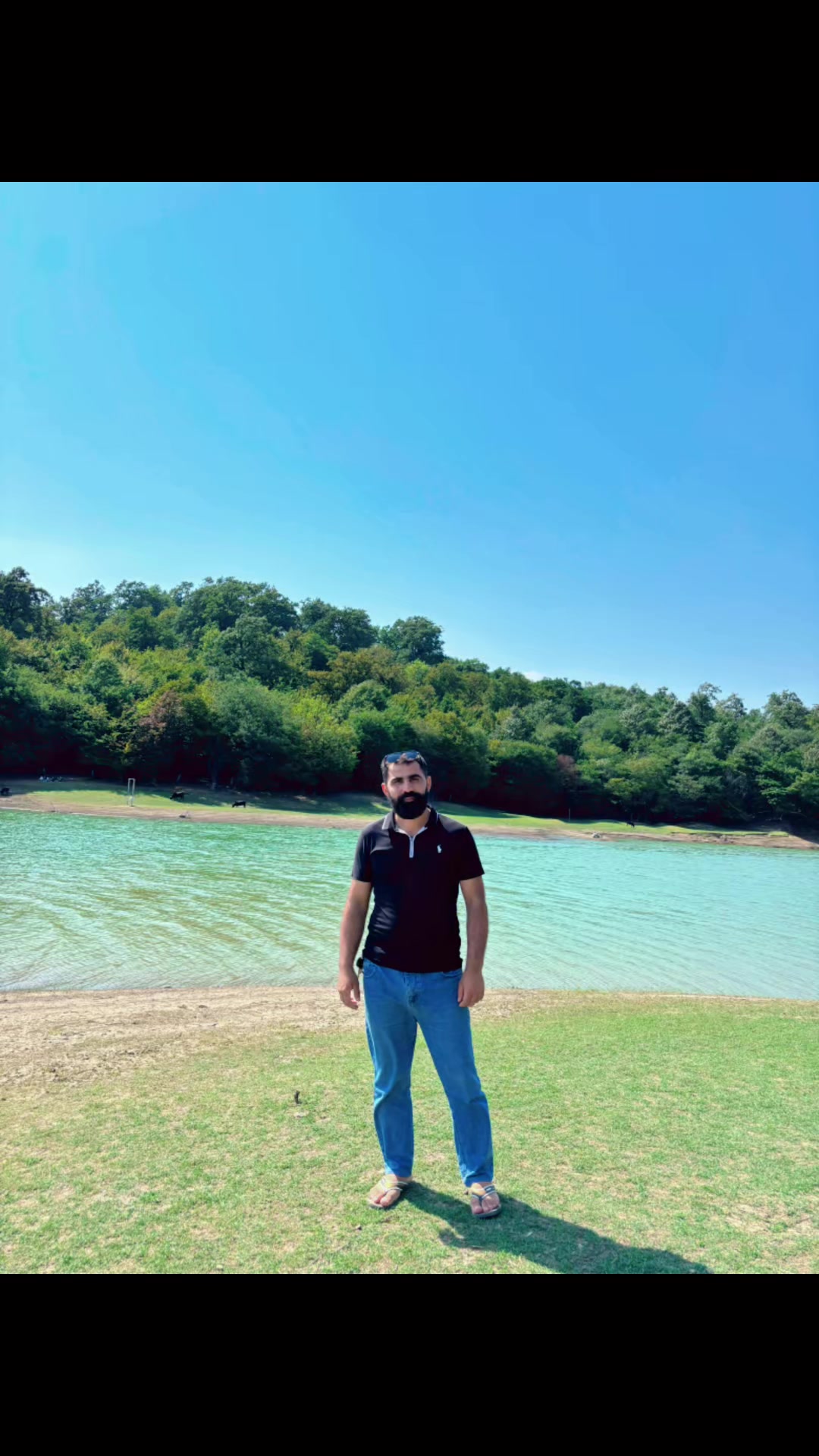 @⚜️ SEYMUR ⚜️