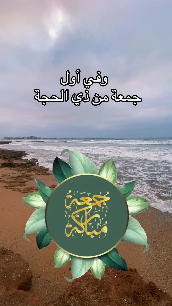 @Omfarouk_7