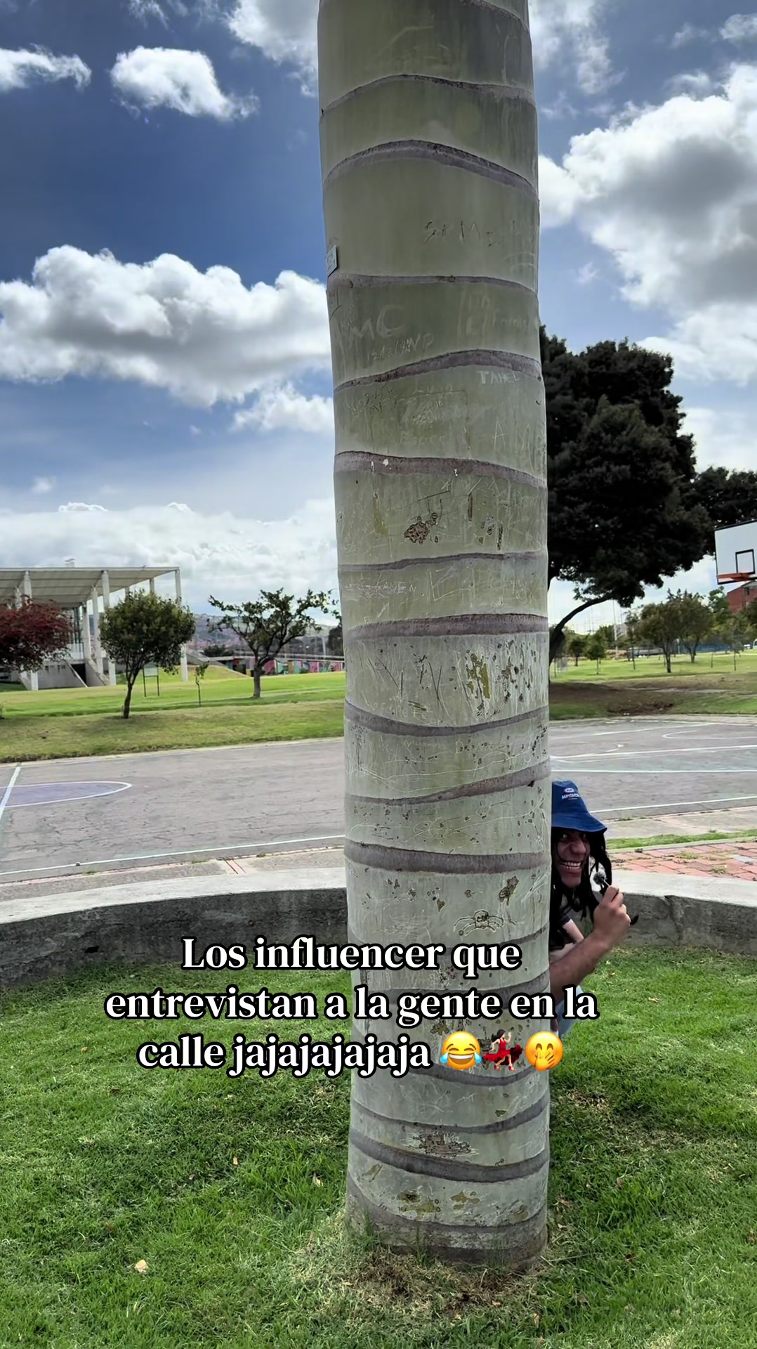 @soyklei1