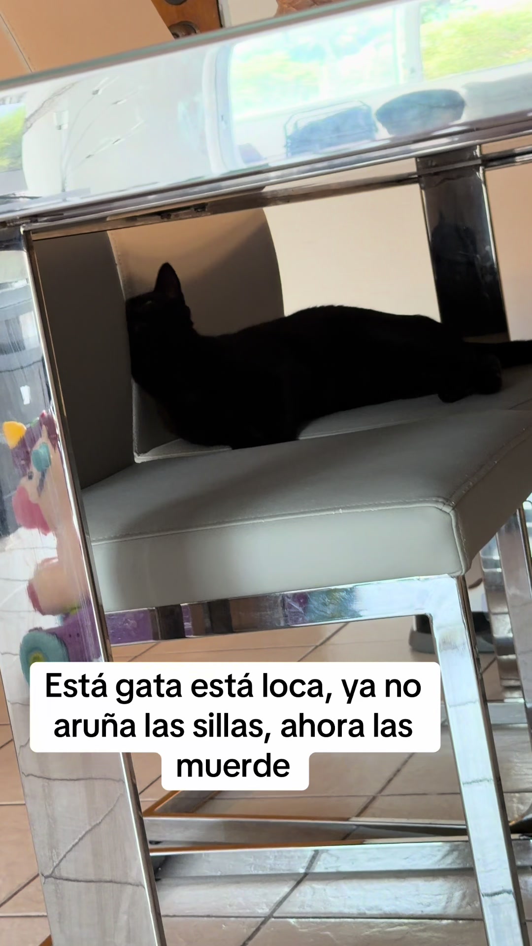 @I’m Kitty 🐈⬛