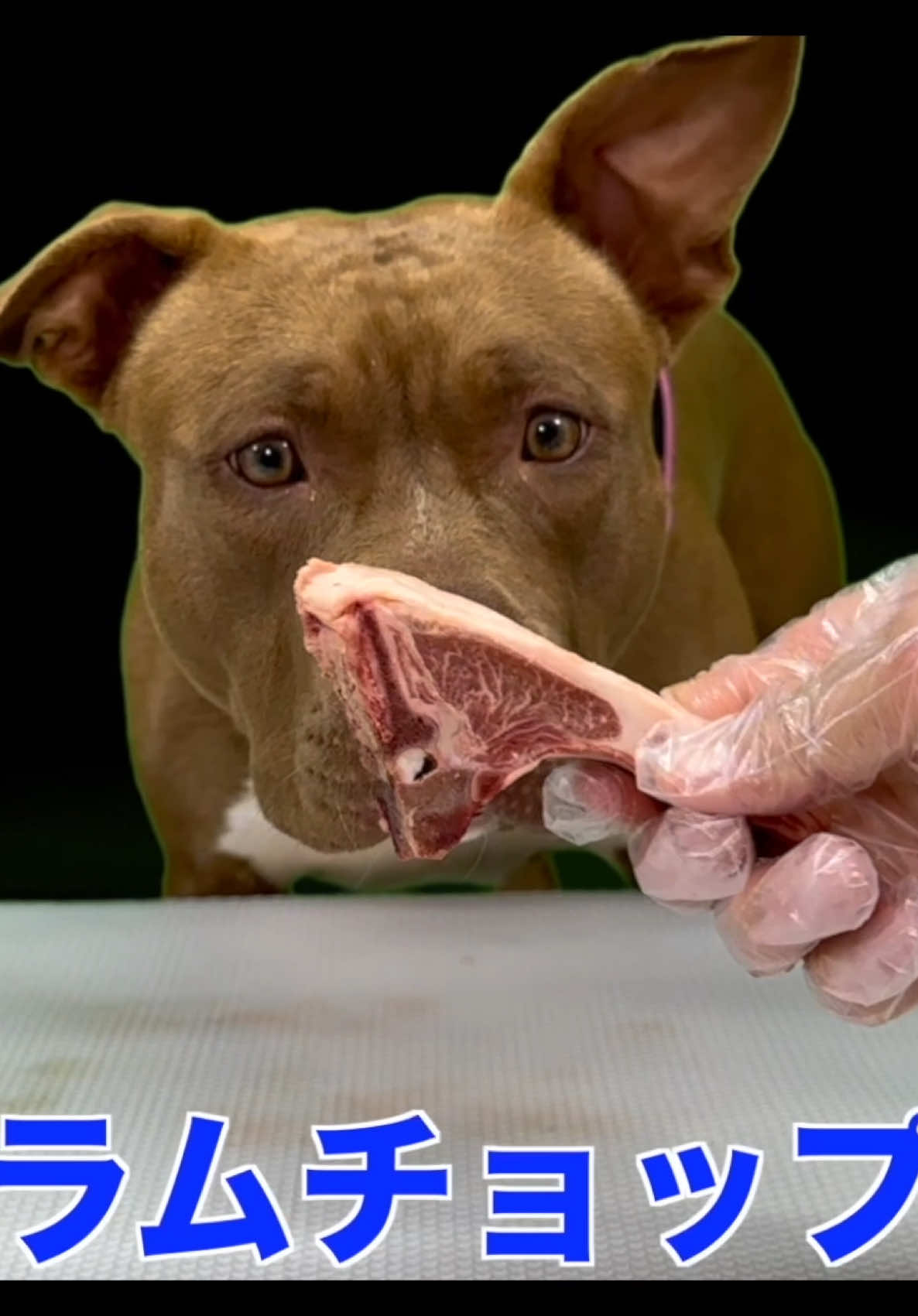@バウンス　チャンネル