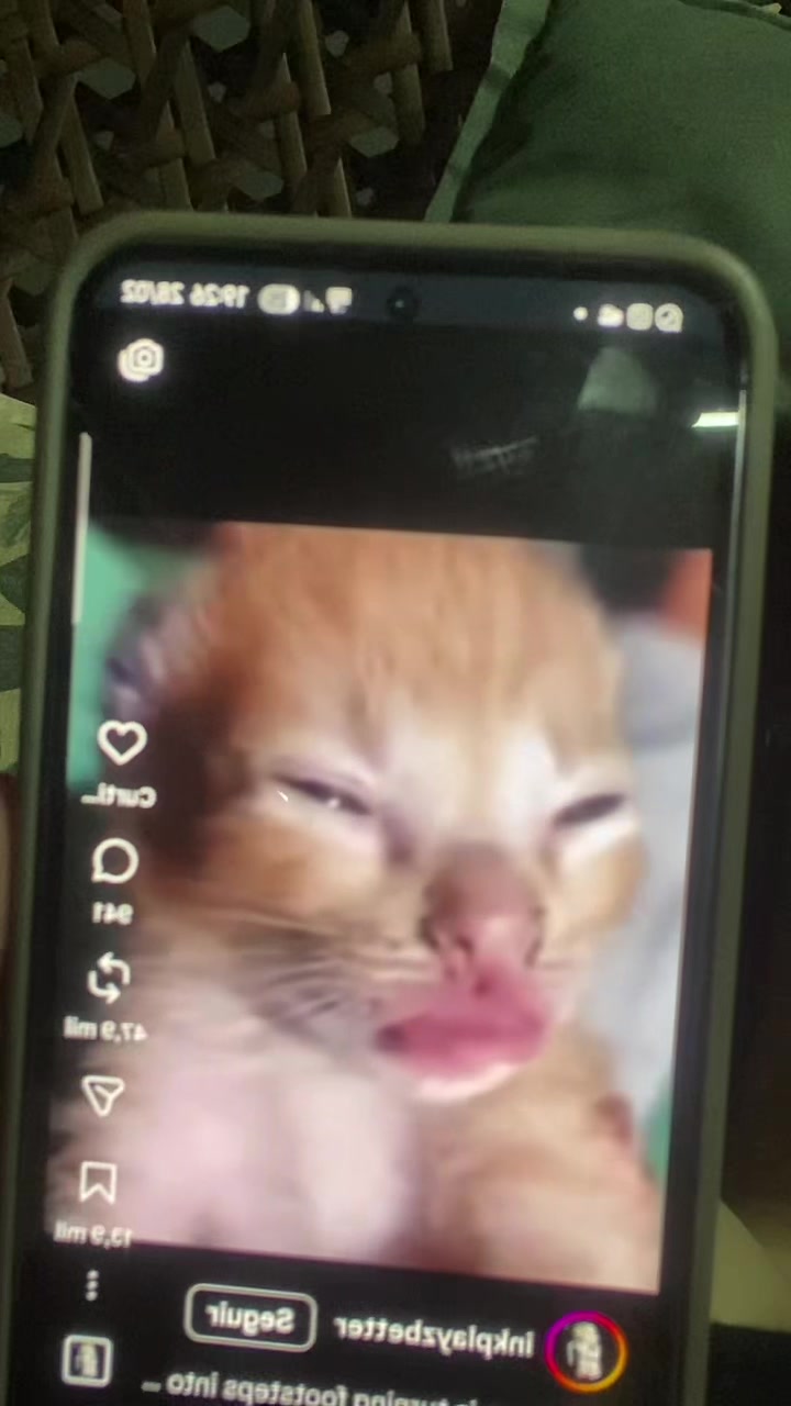 @𝕸𝖆𝖓𝖚𝖊𝖑𝖆
