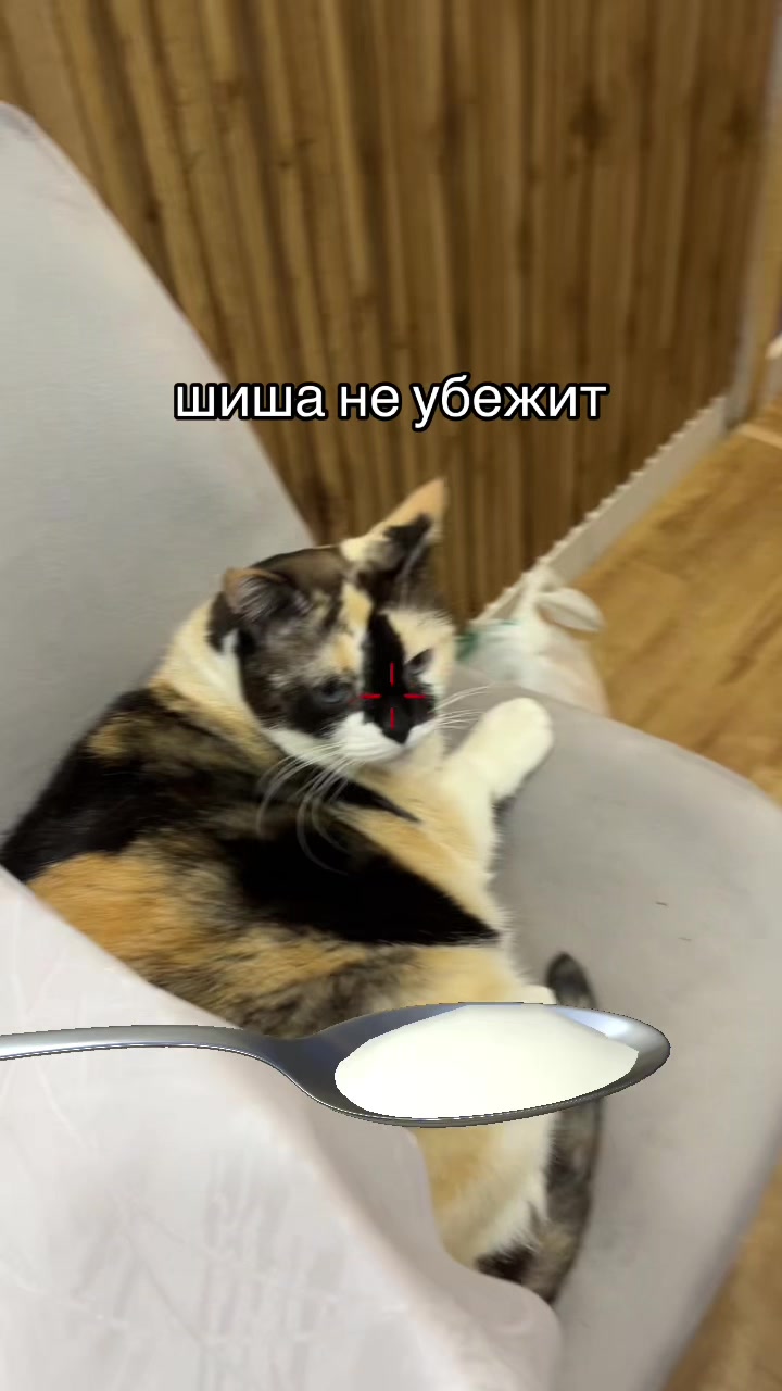 @Хаку 777