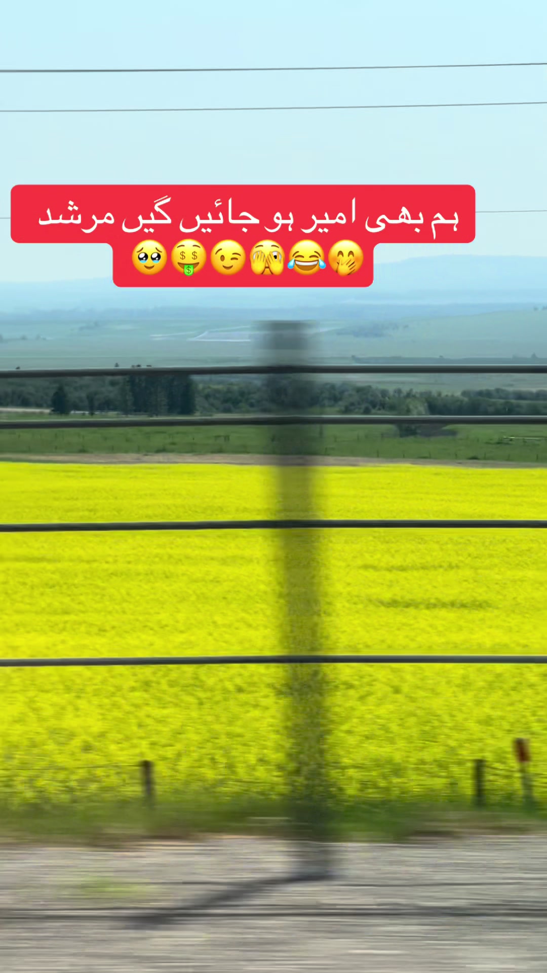 @Tahira Y