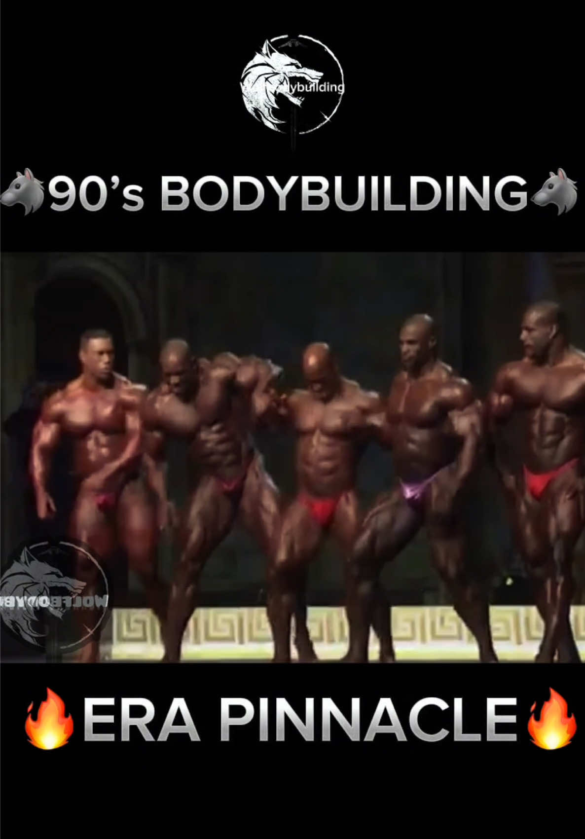 @wolfbodybuilding