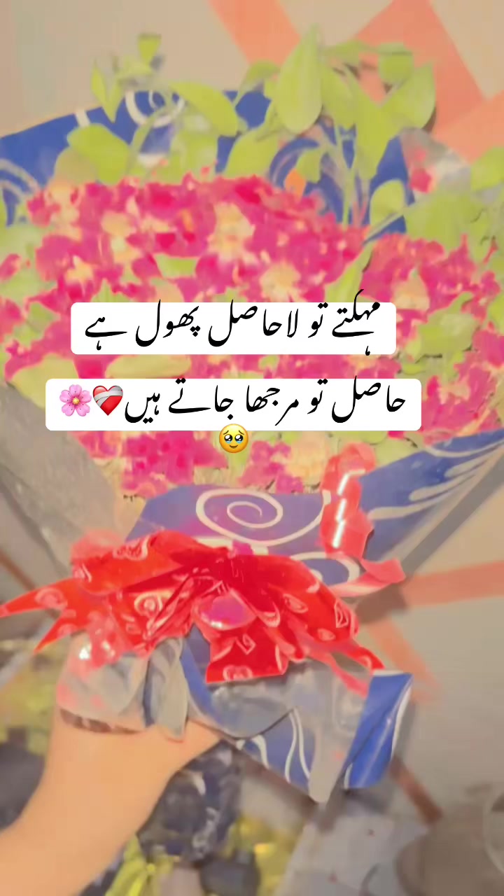 @_hideen_vibes
