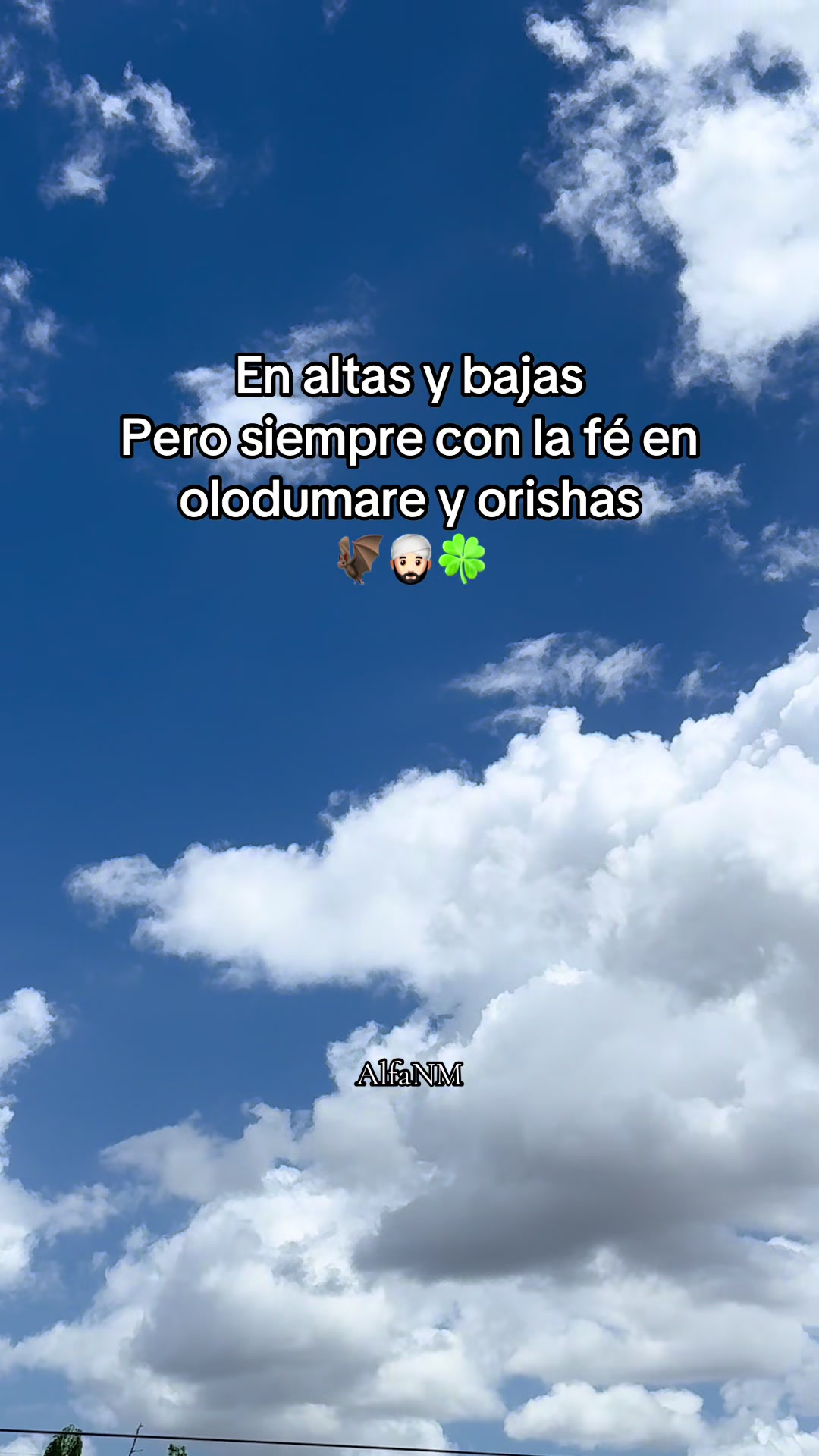 @AlfaNM.
