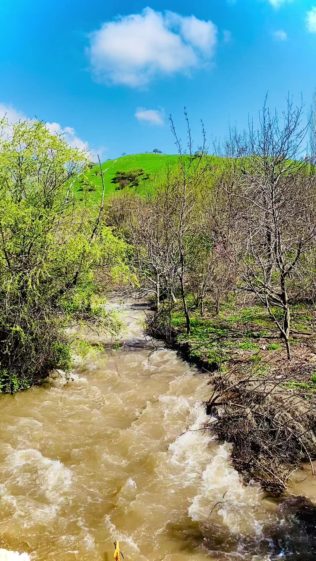 @﮼هەورامی🖤.