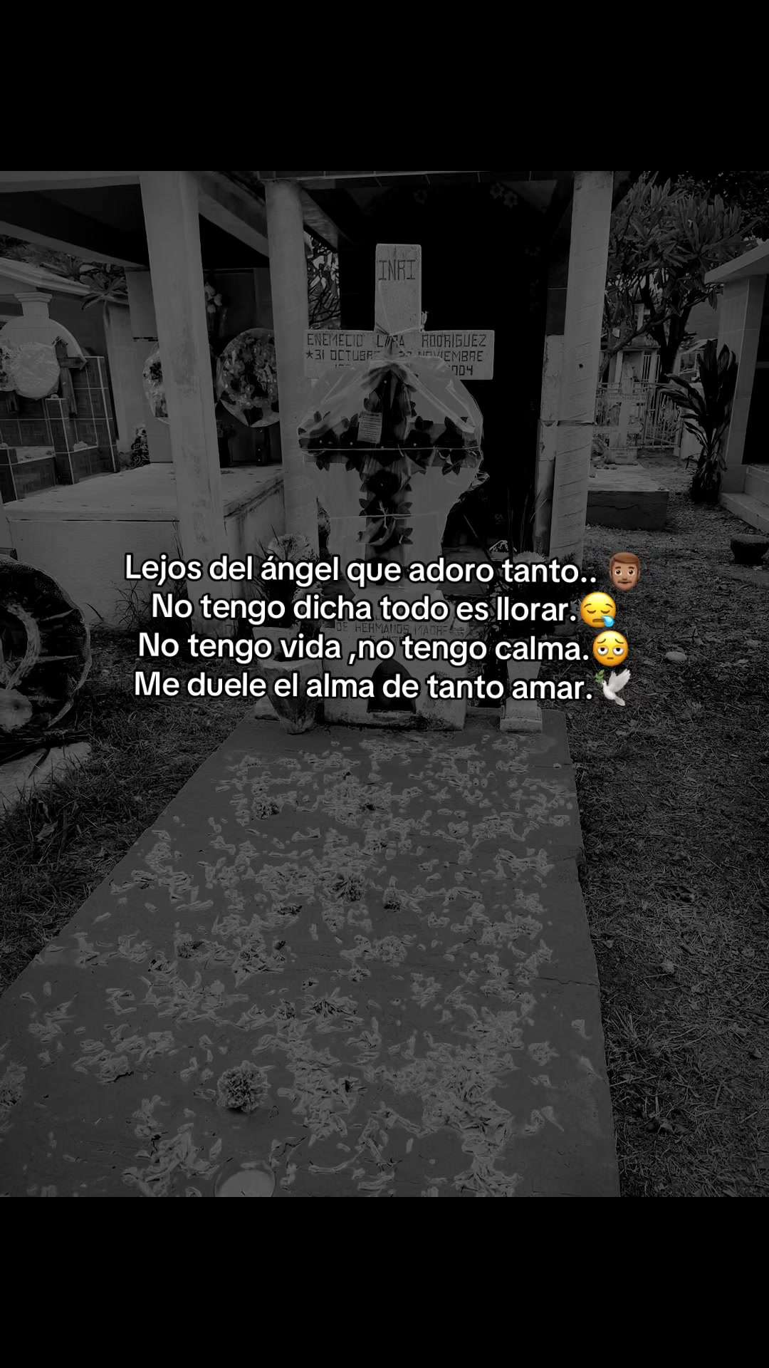 @Sandy Lara 