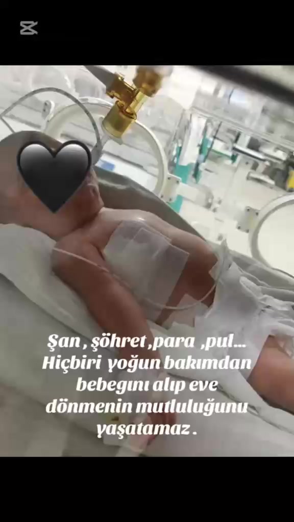 @cerenaltn