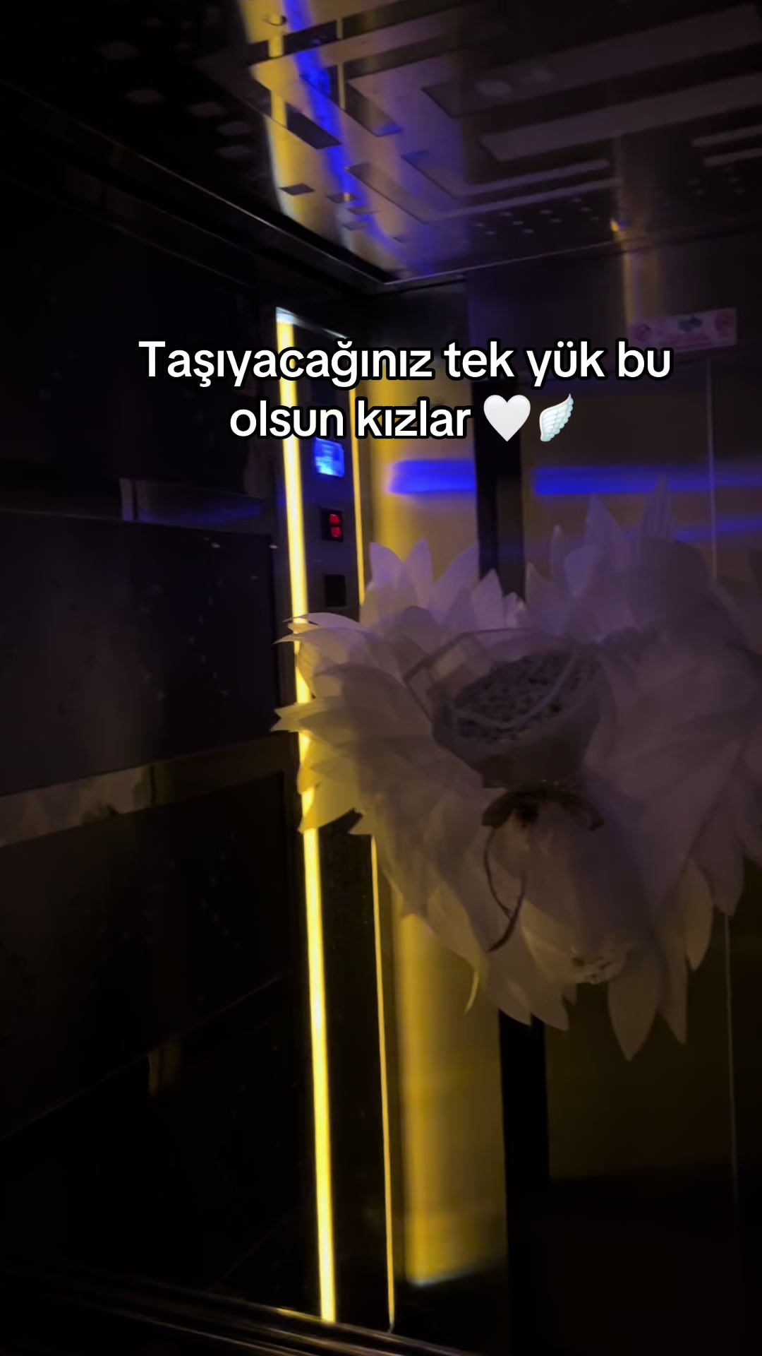 @Almir