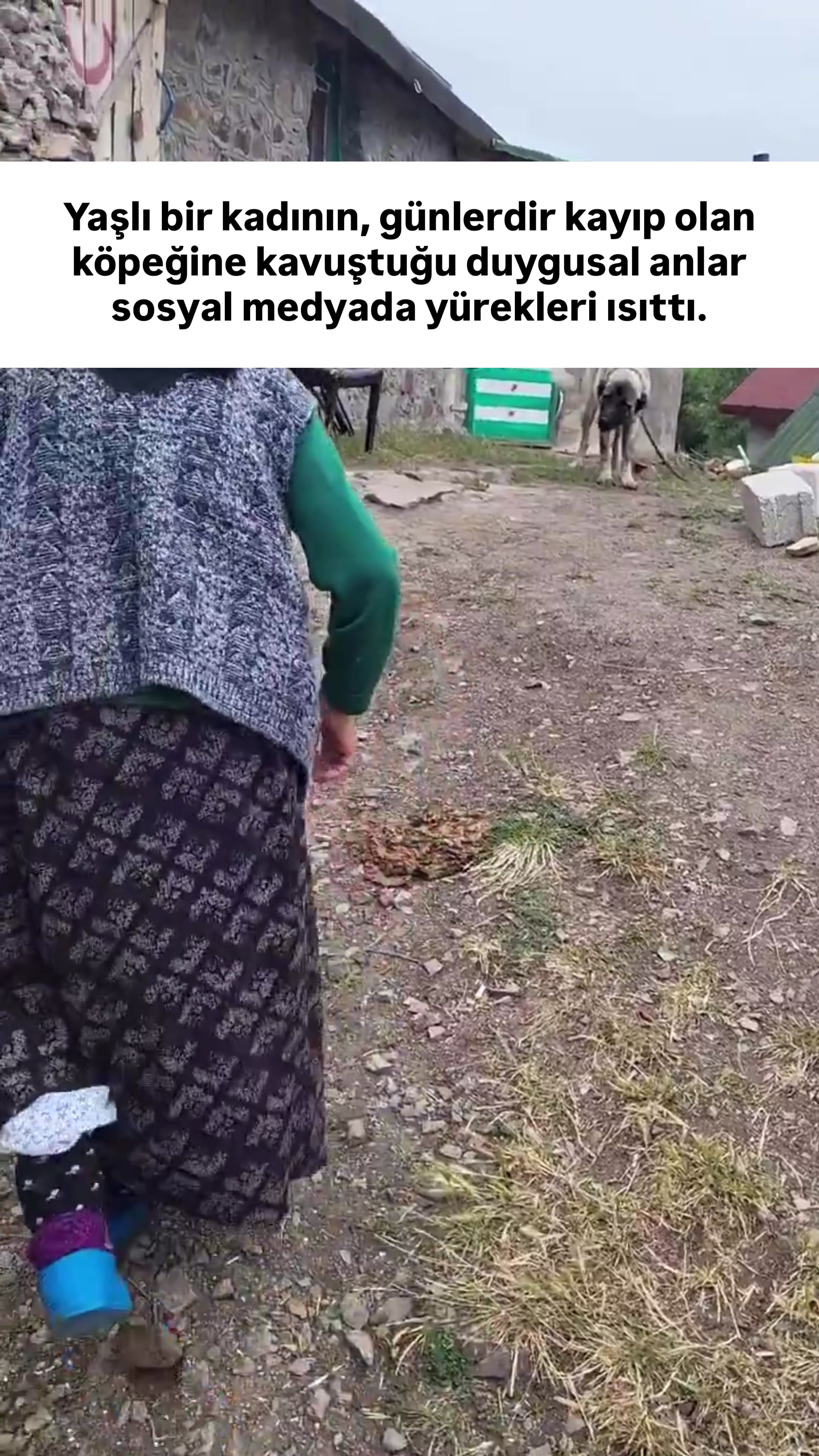 @budabirhaber