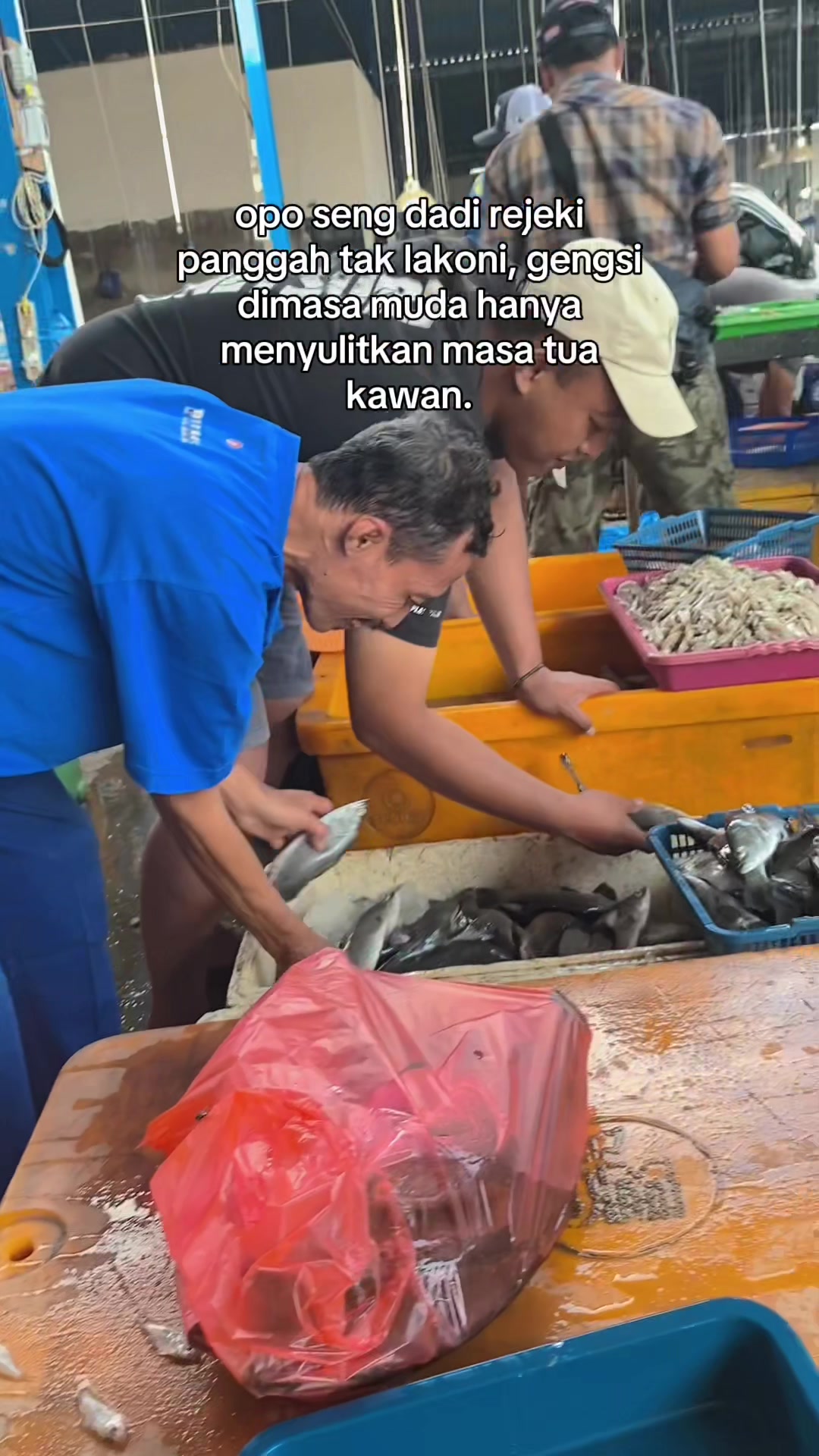 @PESONA BAKOL IWAK🐬🐬