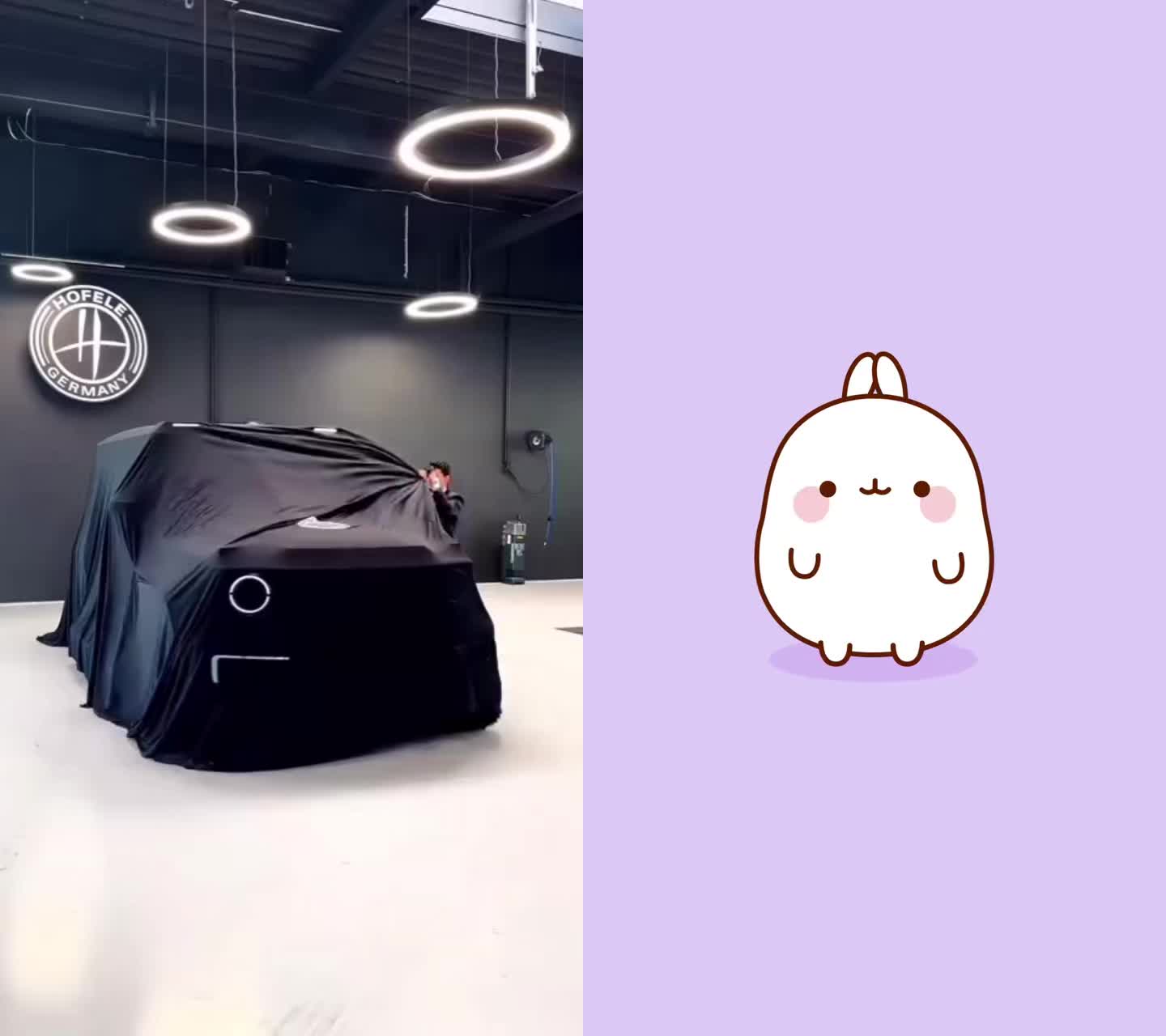 @Luca🇺🇸 🆘