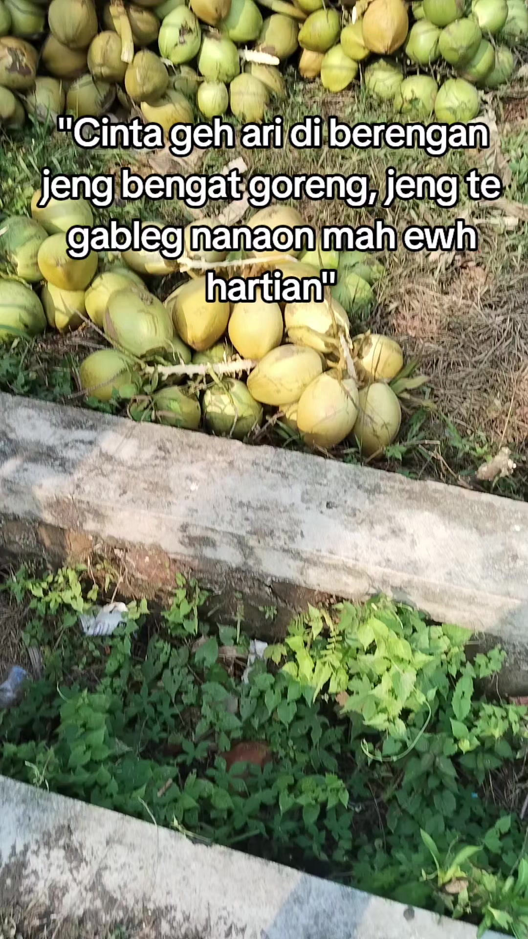 @@BANGKIT_MANDIRI01