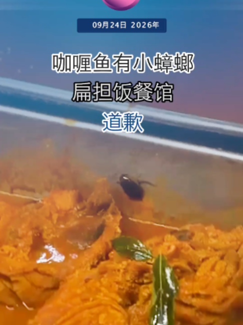 @中国报