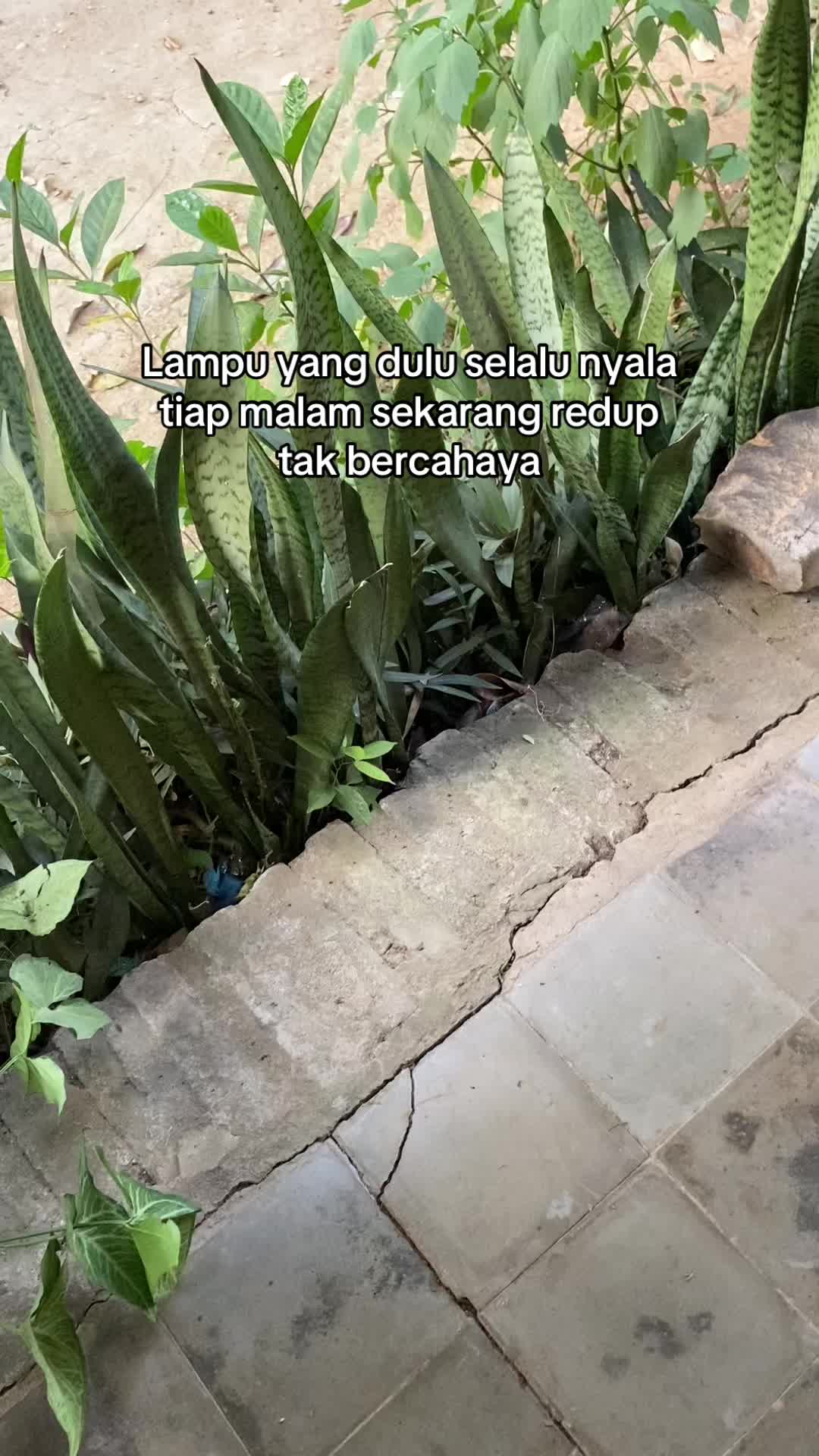 @nostalgia