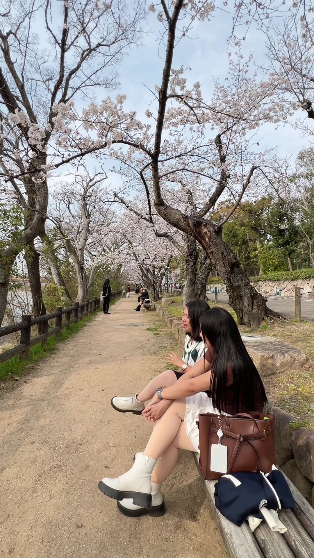 @Rinchan