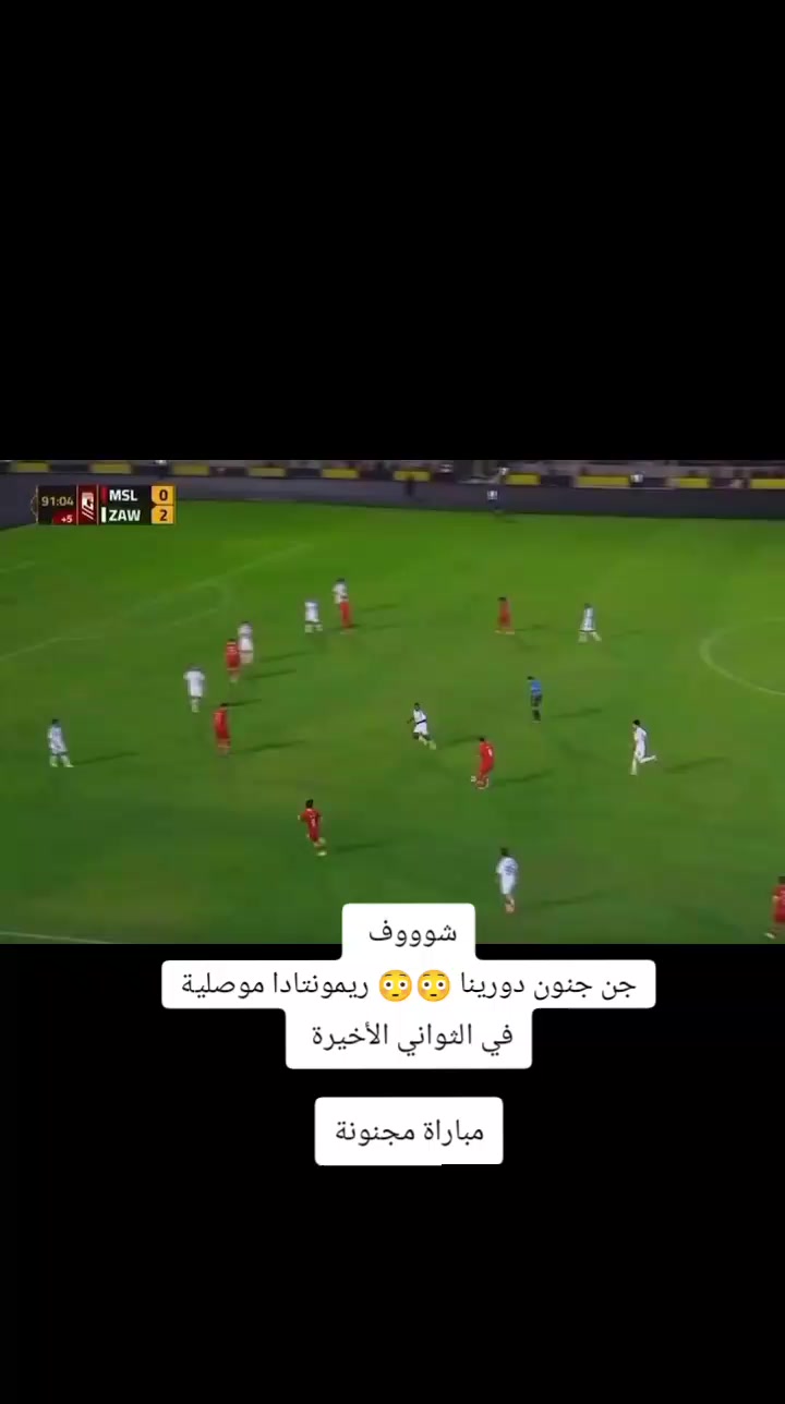 @ملعب البصرة جذع نخلة