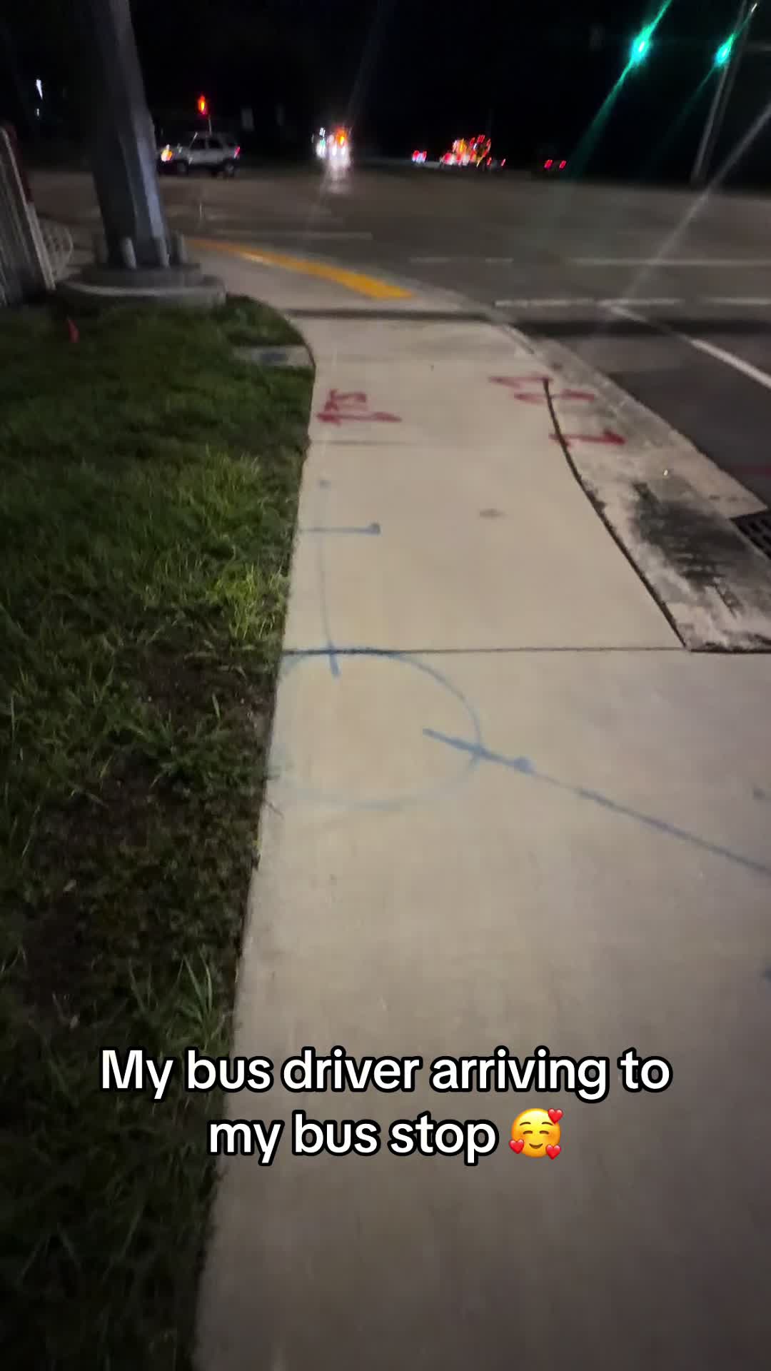 @palmbeachtransportation