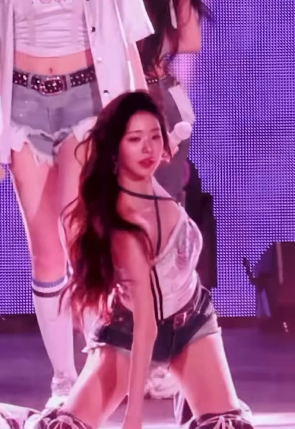 @venus fancams ★