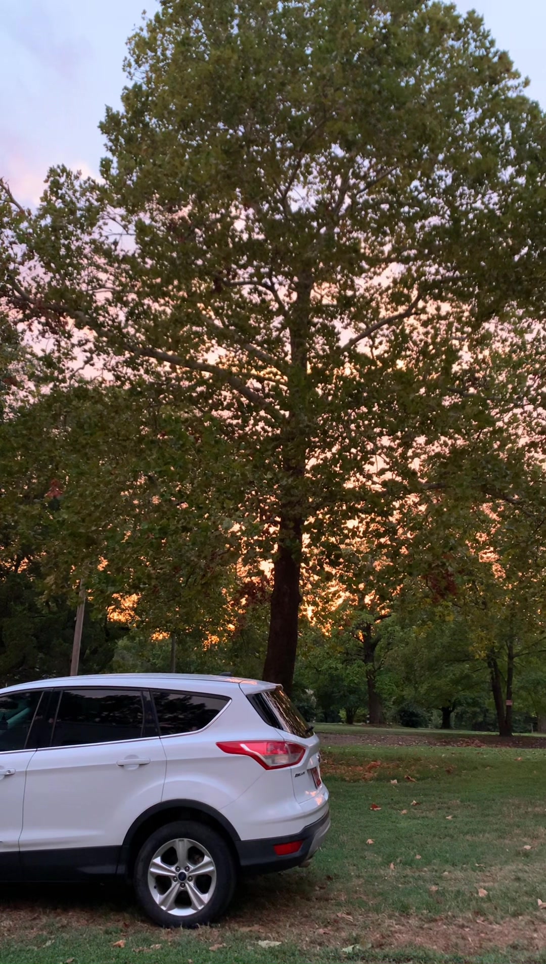 @Oklahomagreeneyes🌼