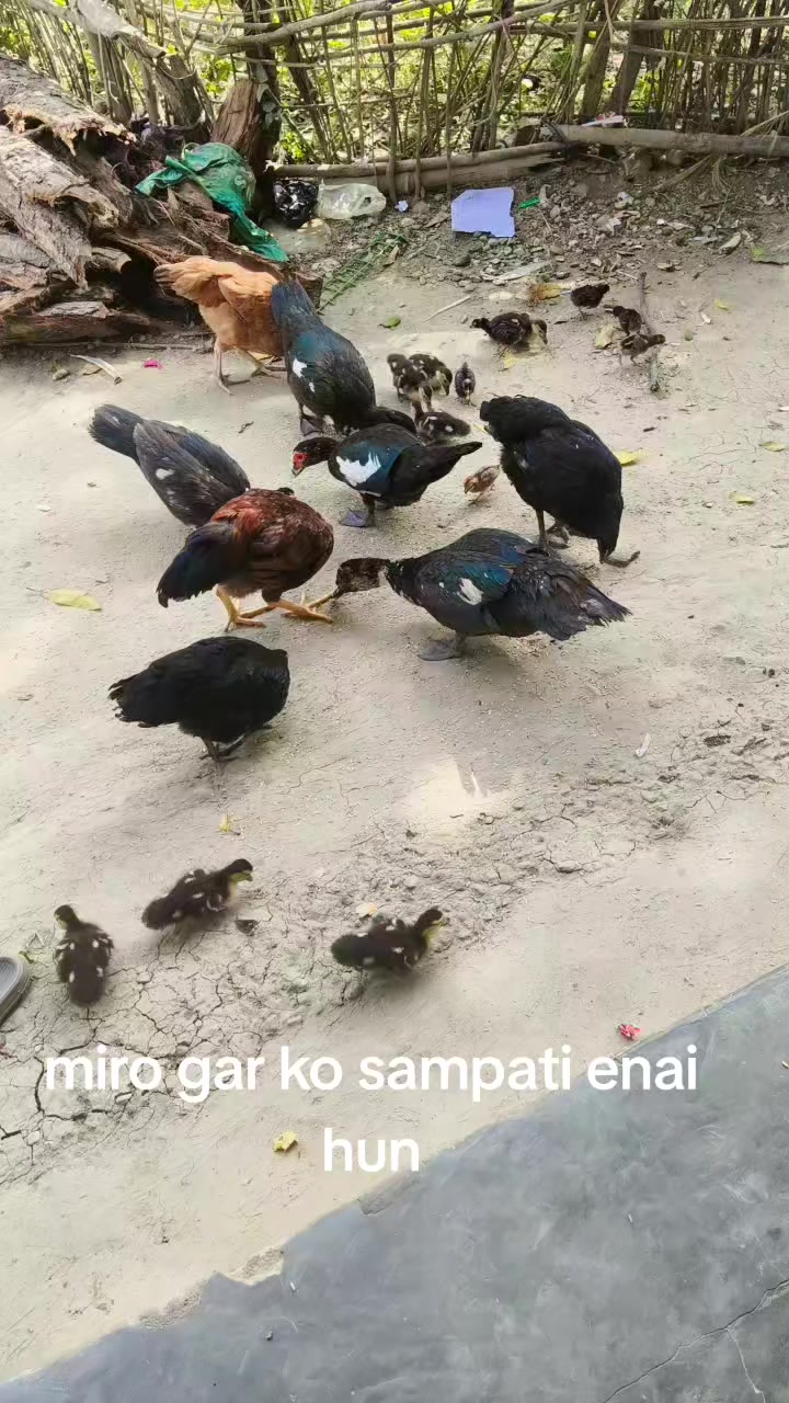 @Amrita Vishwakarma
