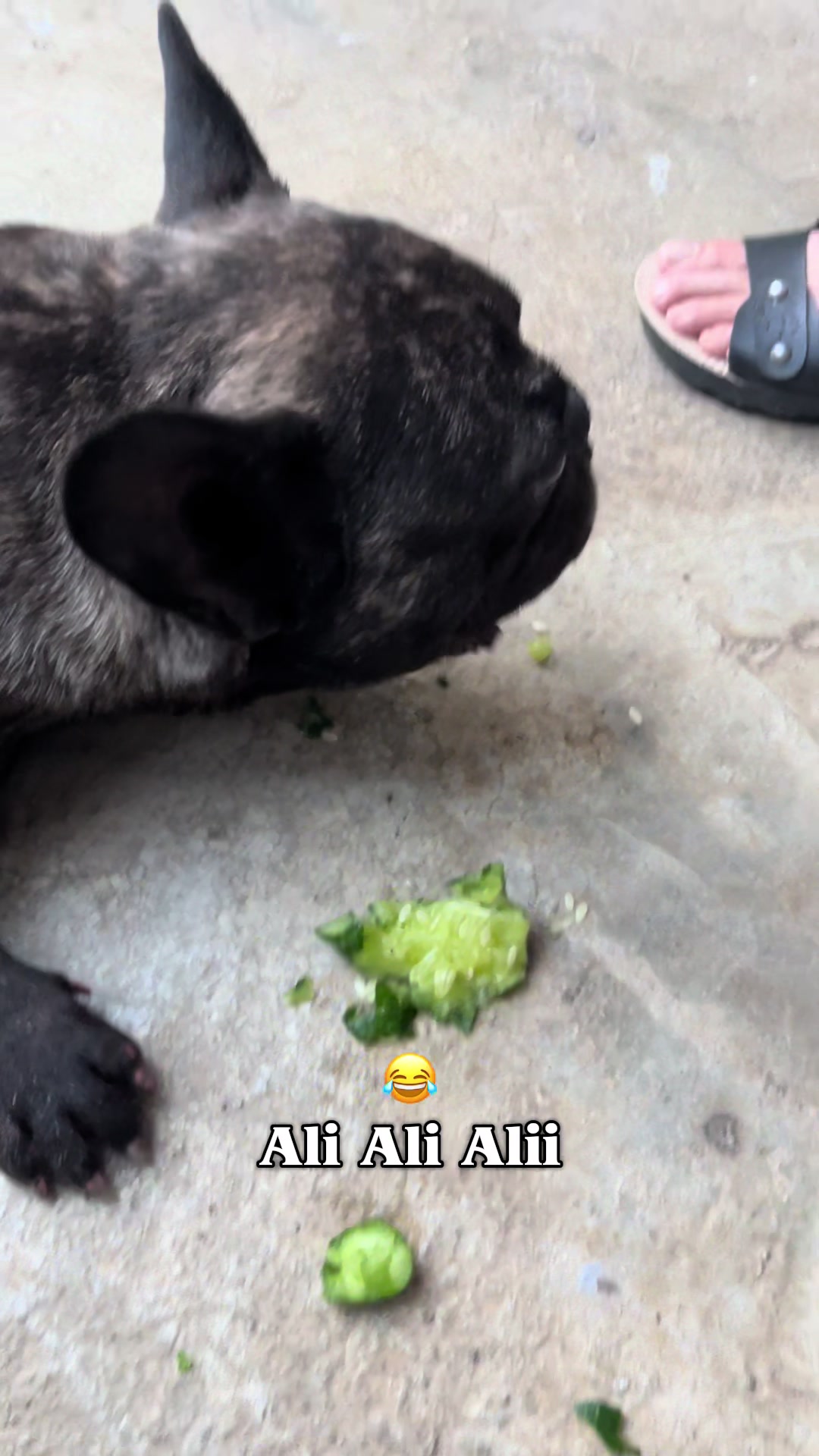 @Ali Can Çalışkan