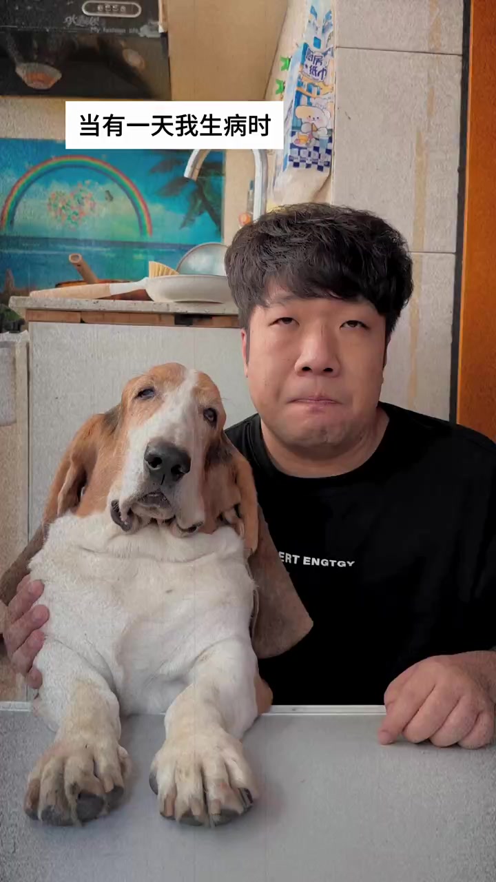 @晃晃悠悠