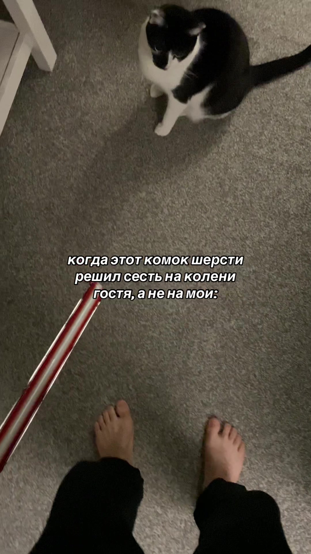 @sxnic