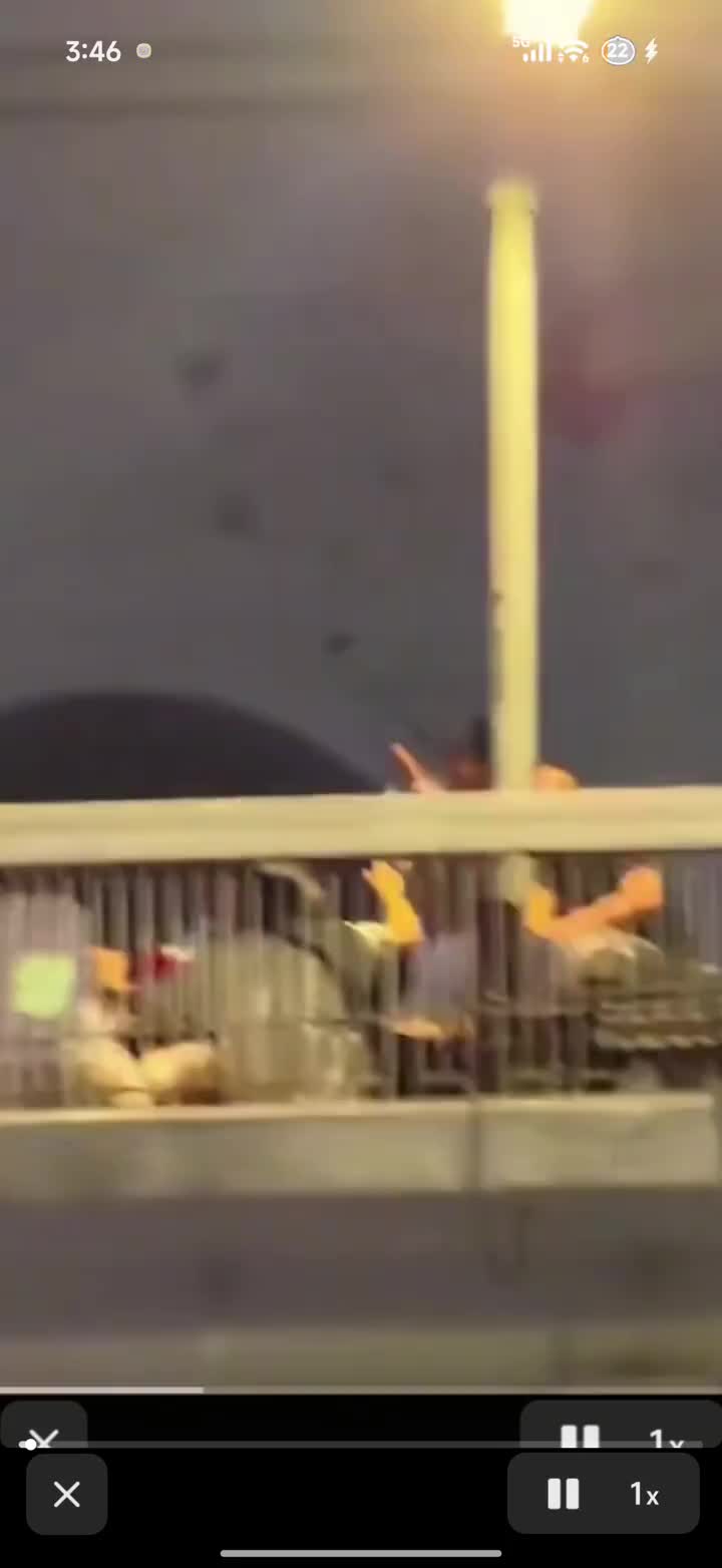 @风万里