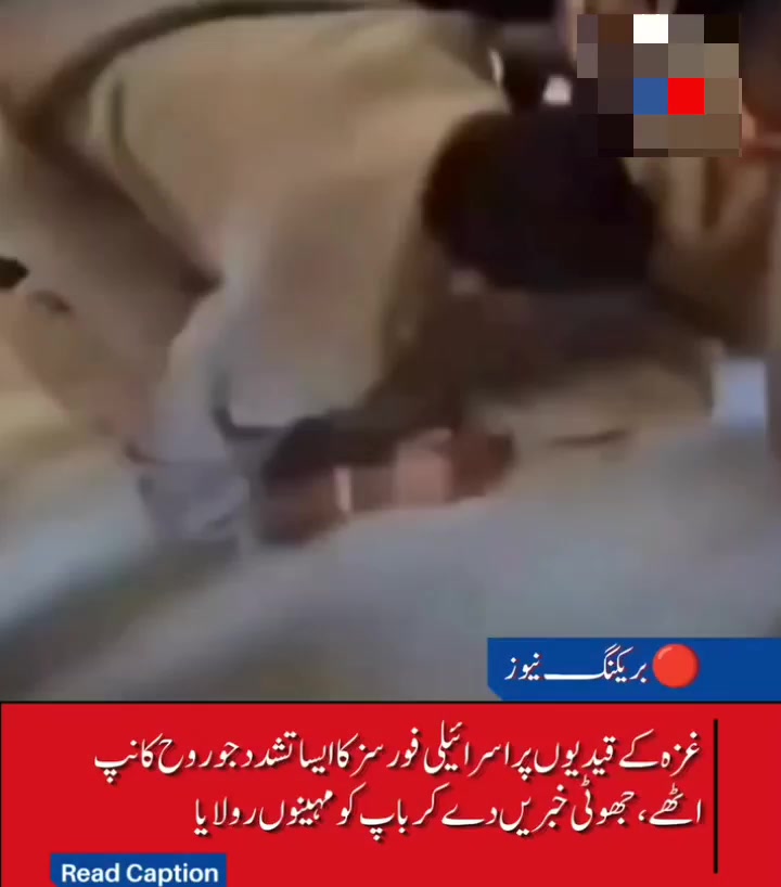 @Muhammad Ibrahim