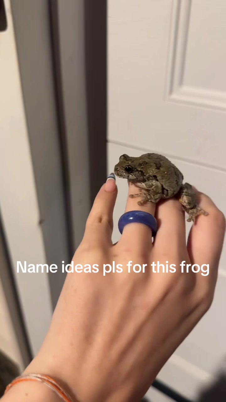@crazypoptarts16