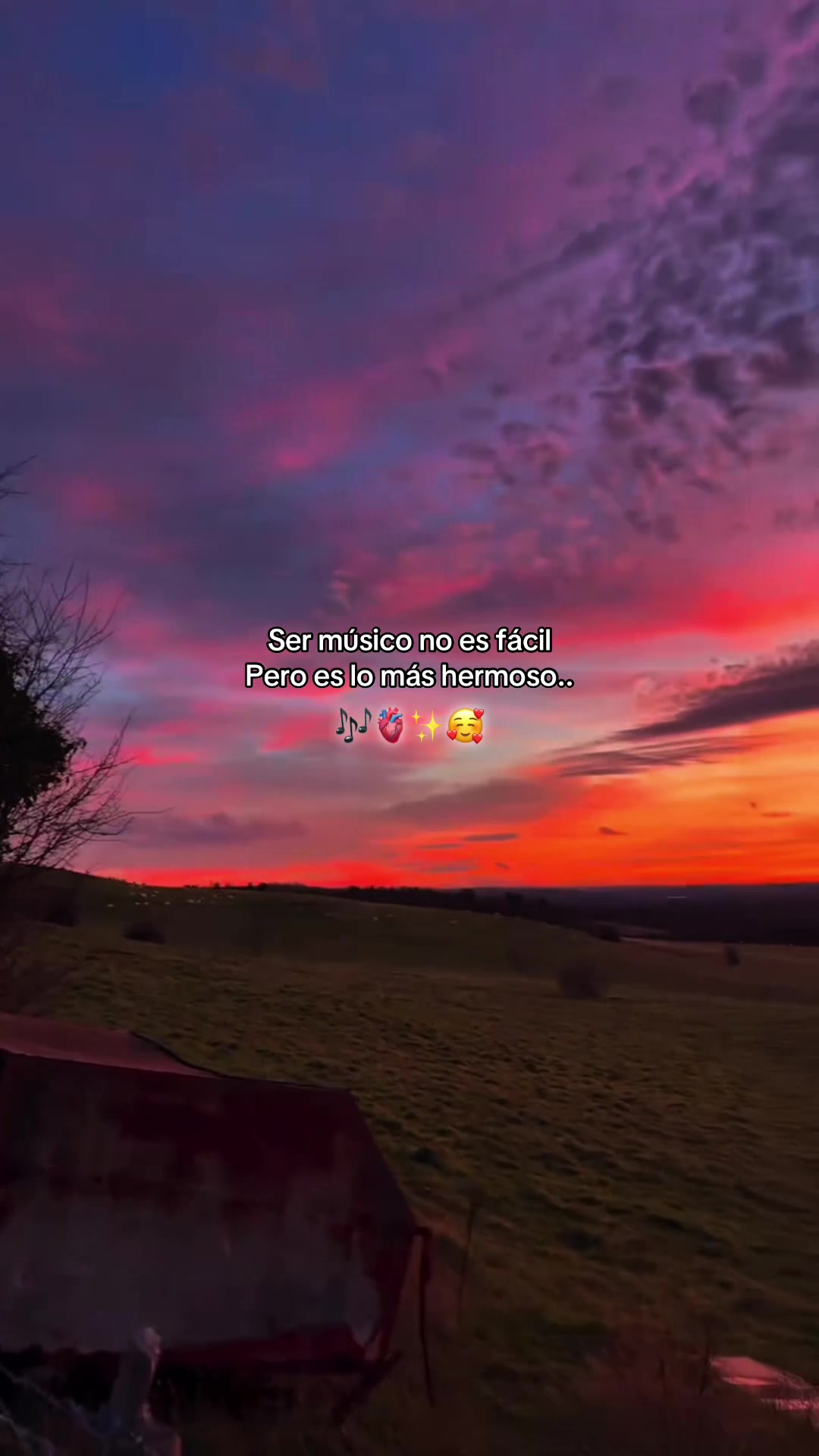 @シ𝙰𝙻𝙴𝚇 𝙴𝙳𝚄𝙰𝚁𝙳𝙾 ♫