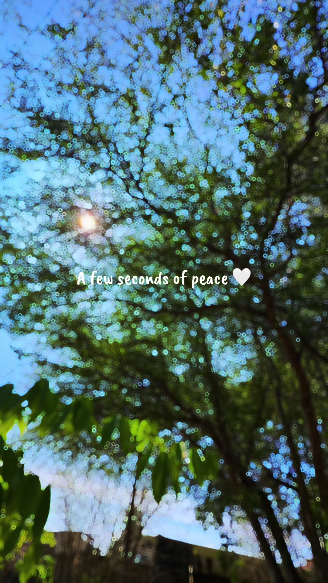 @MommyDyes ⚓️💕✨