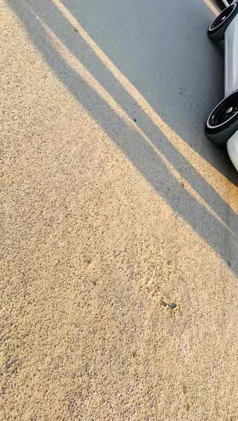 @cosmo_finest_cabs1
