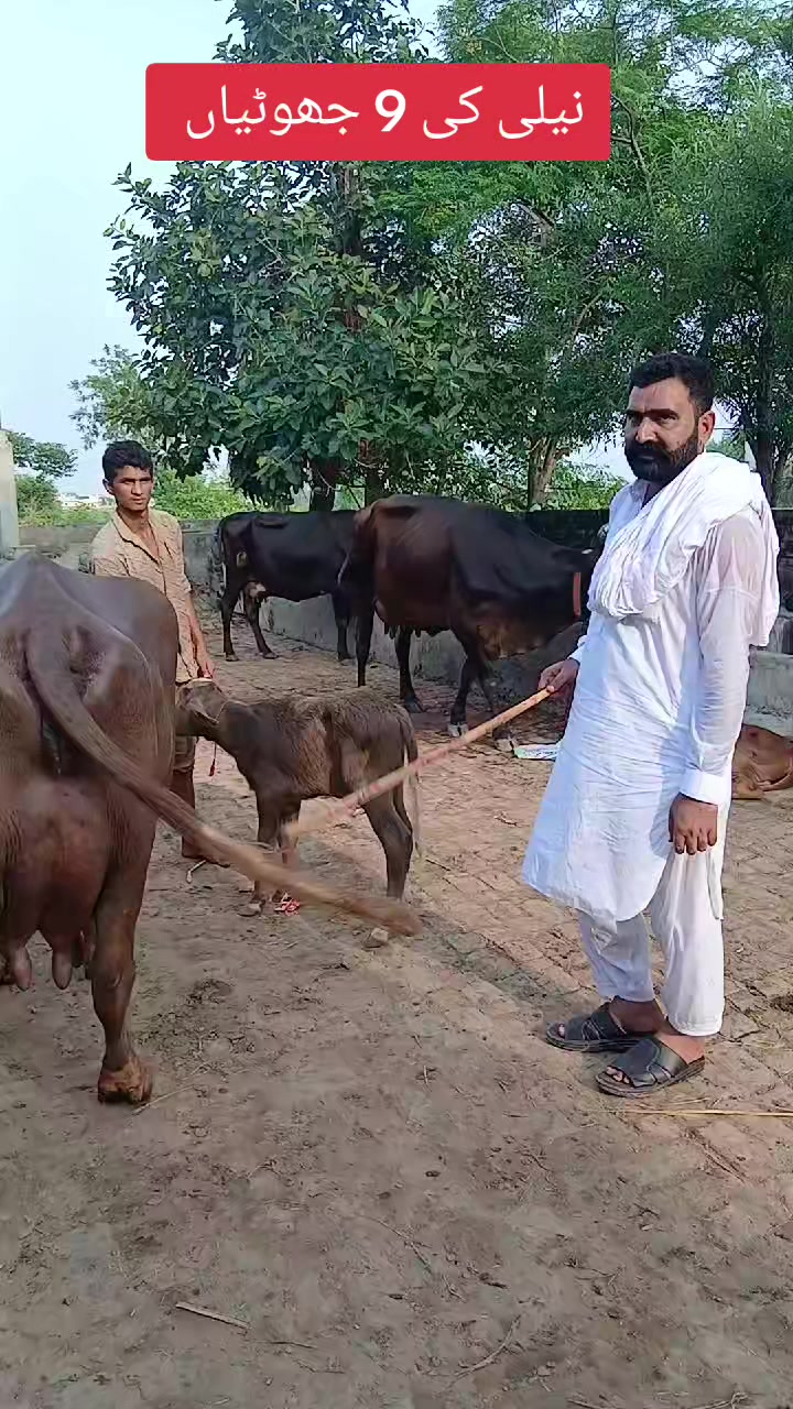 @Farming and Business Ideas