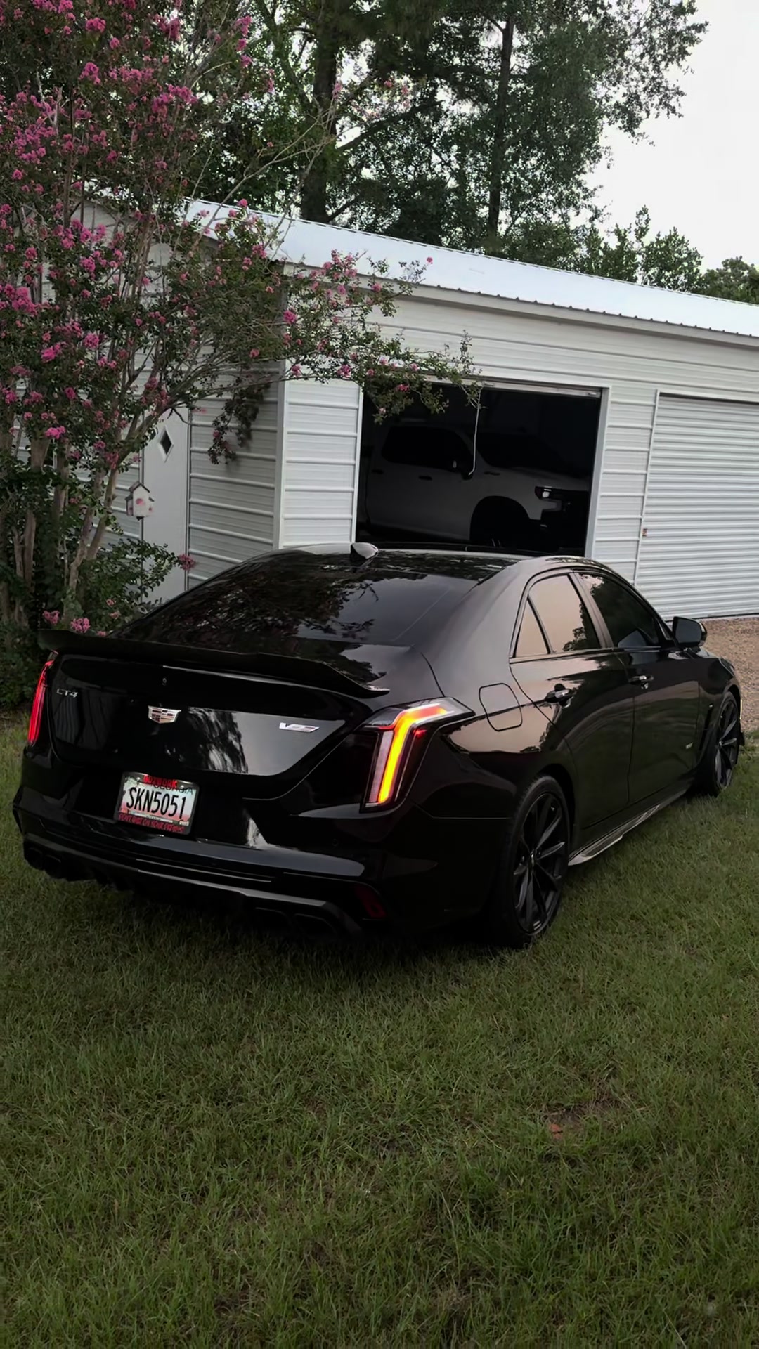 @blackoutt.v 🦇