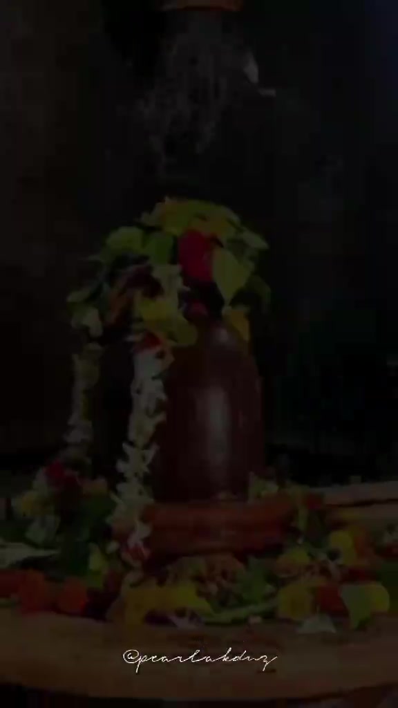@shivam_chauhan