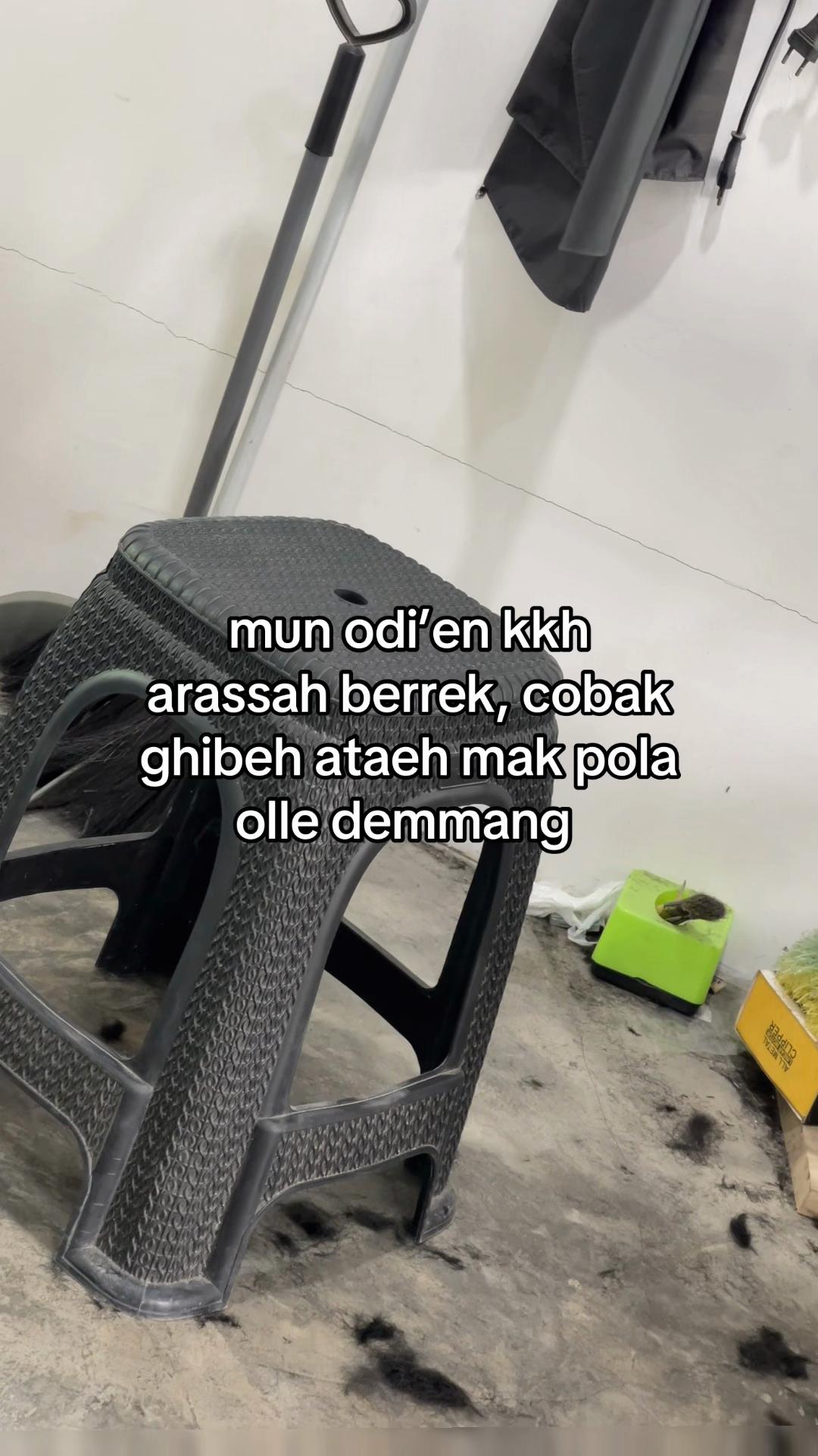 @๐๐น๐_๐๐๐๐ท๐๐๐ฆ๐ฑ