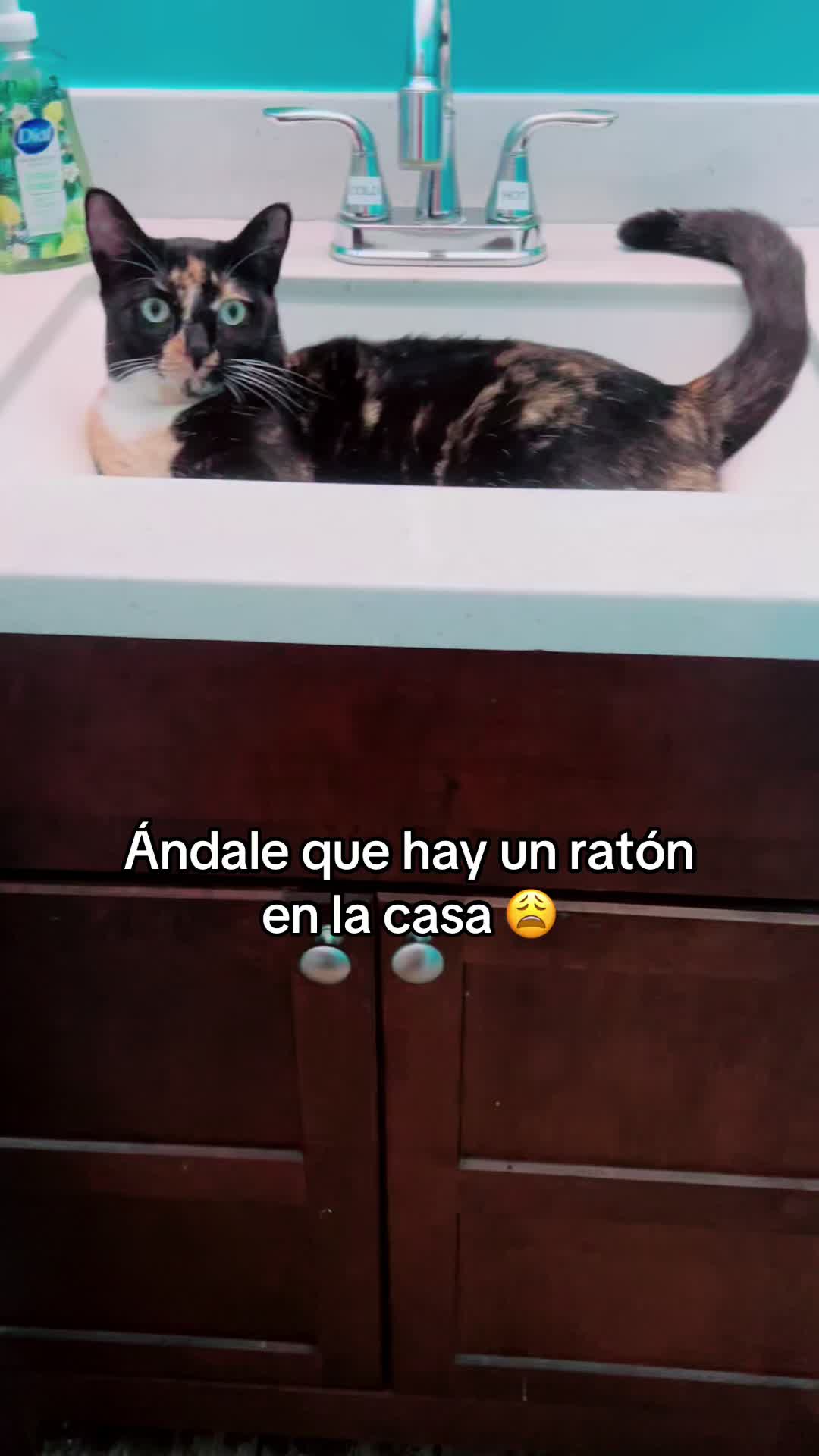 @Olga Lara G..503🇸🇻🫶